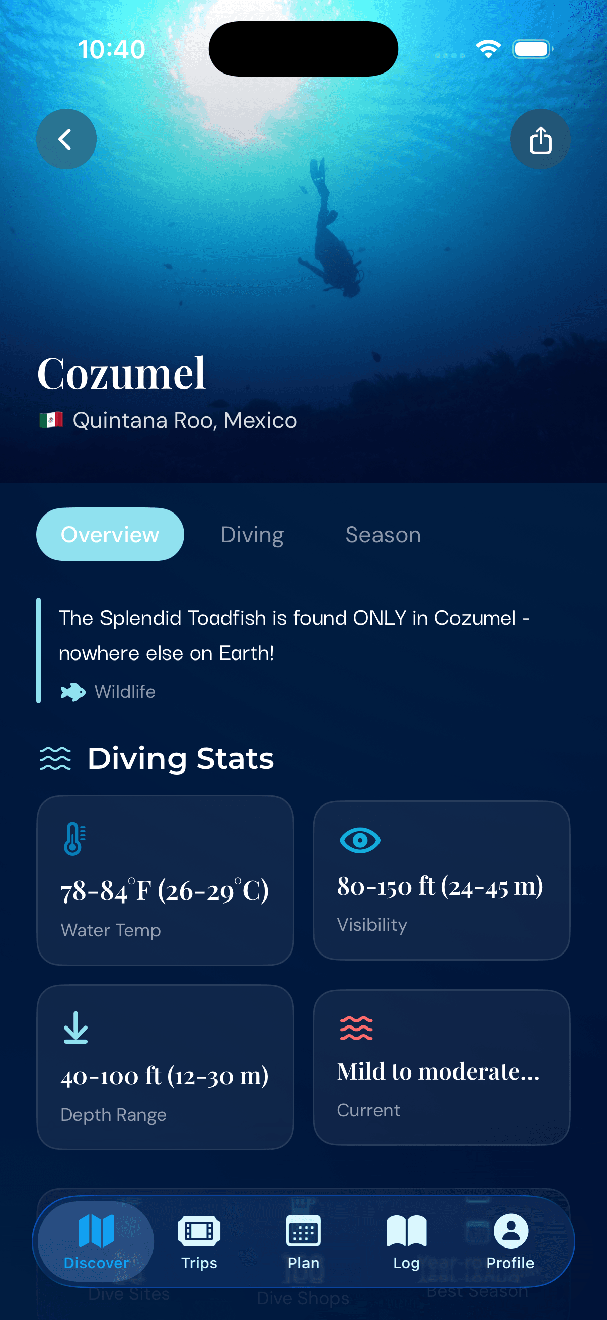 Cozumel destination overview in DivePass on iPhone