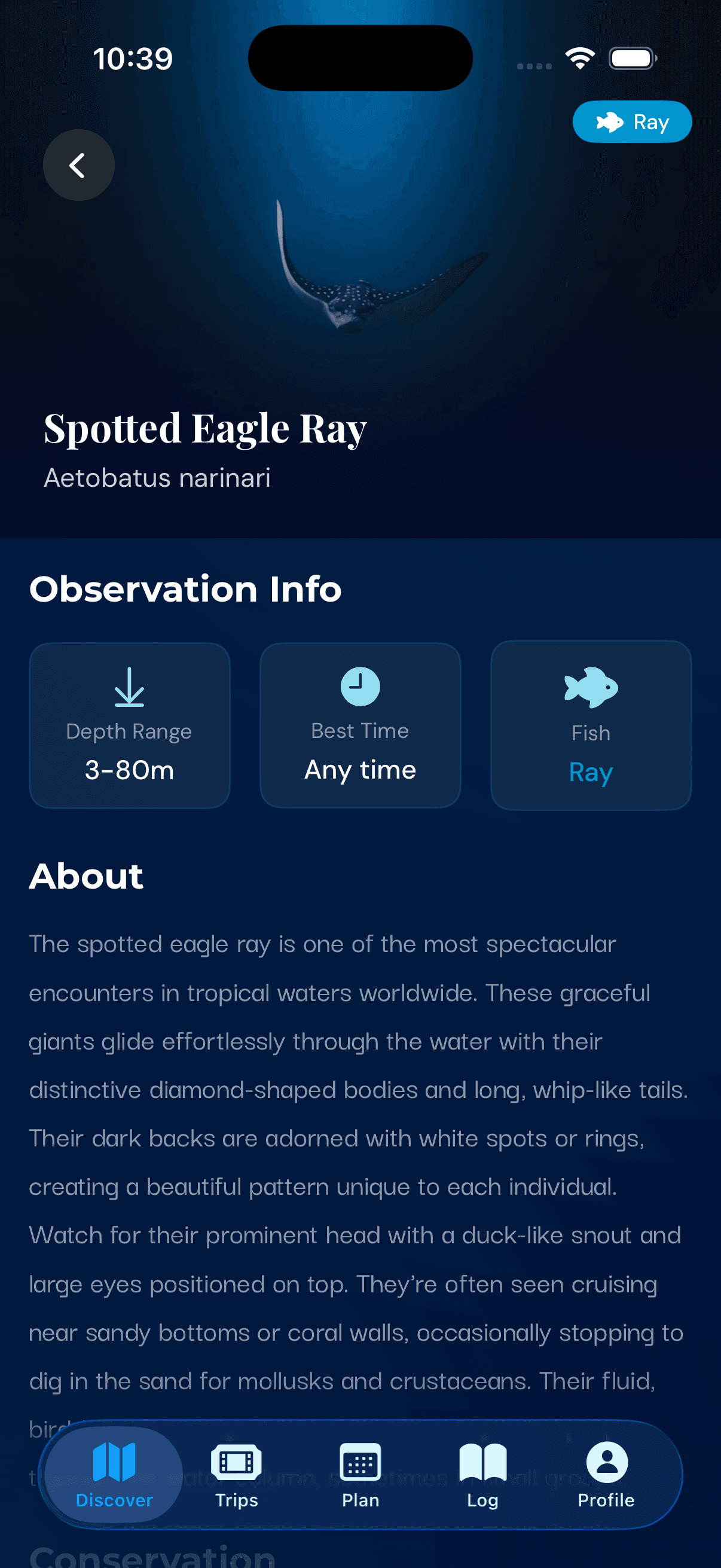 Spotted eagle ray species details in DivePass on iPhone