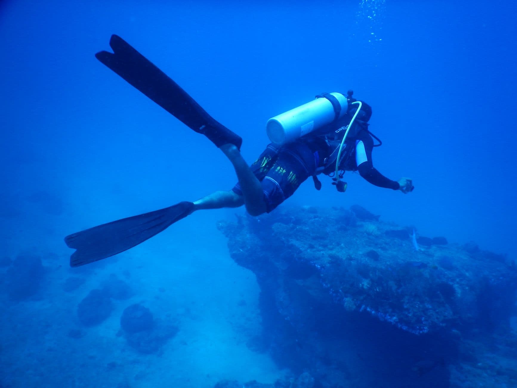 Diving Alor: The Ultimate Guide to Indonesia's Last Frontier