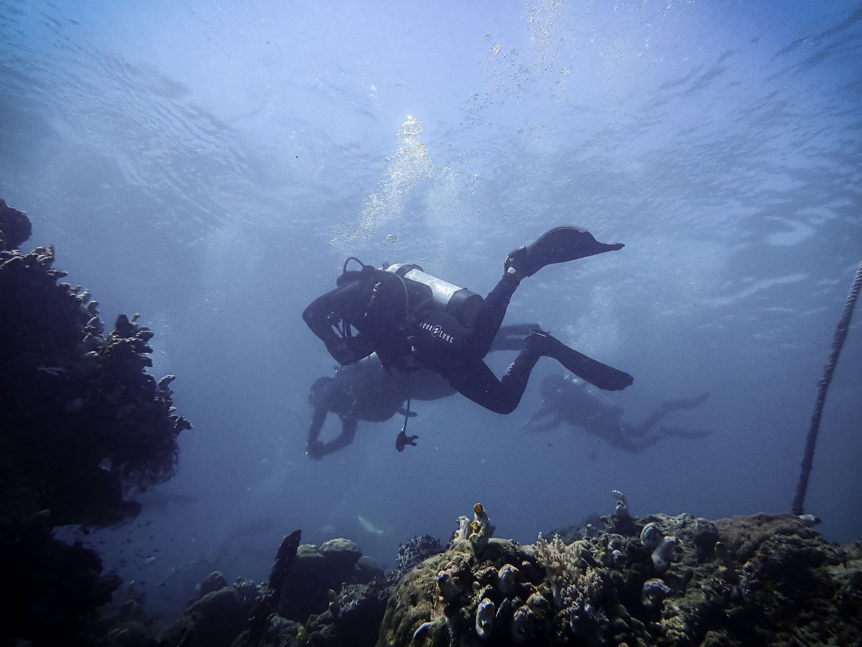 Diving Anilao: The Macro Capital of the Philippines