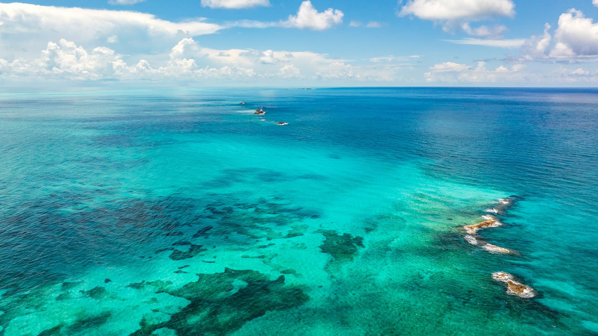Top 10 Dive Sites in the Bahamas: Exumas & Eleuthera Guide