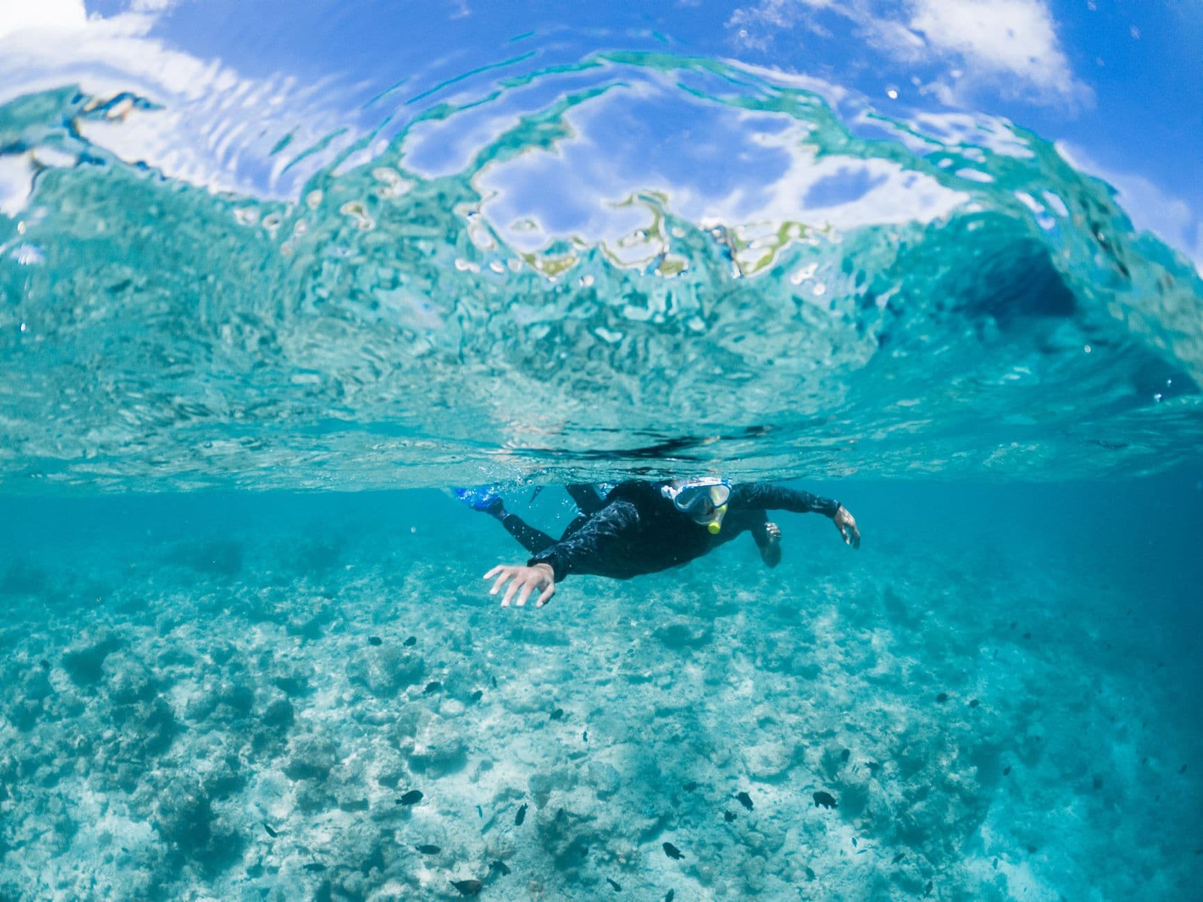 Diving the Banda Islands: Ultimate Spice Islands Guide