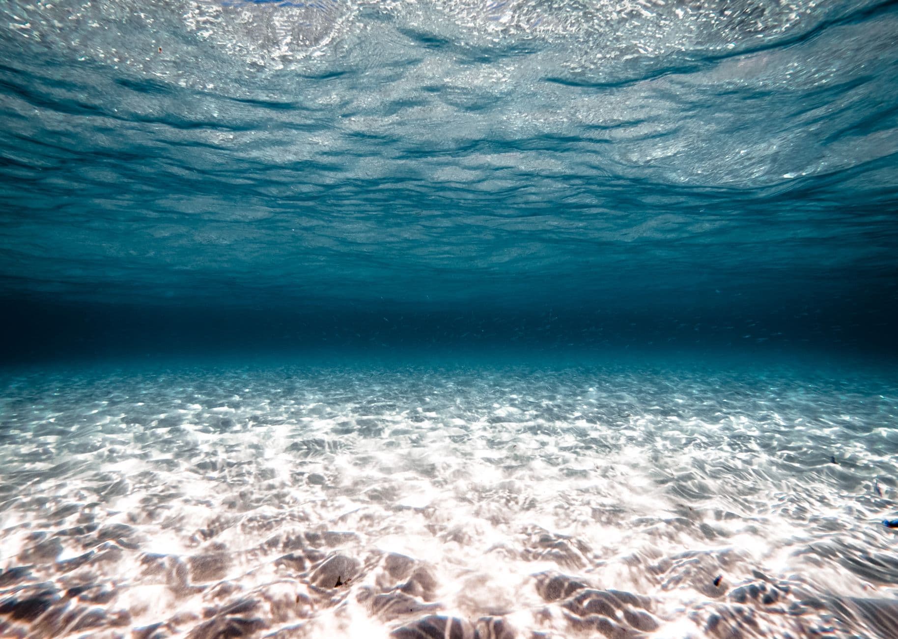 Diving Belize: Conditions, Seasons, and What to Expect