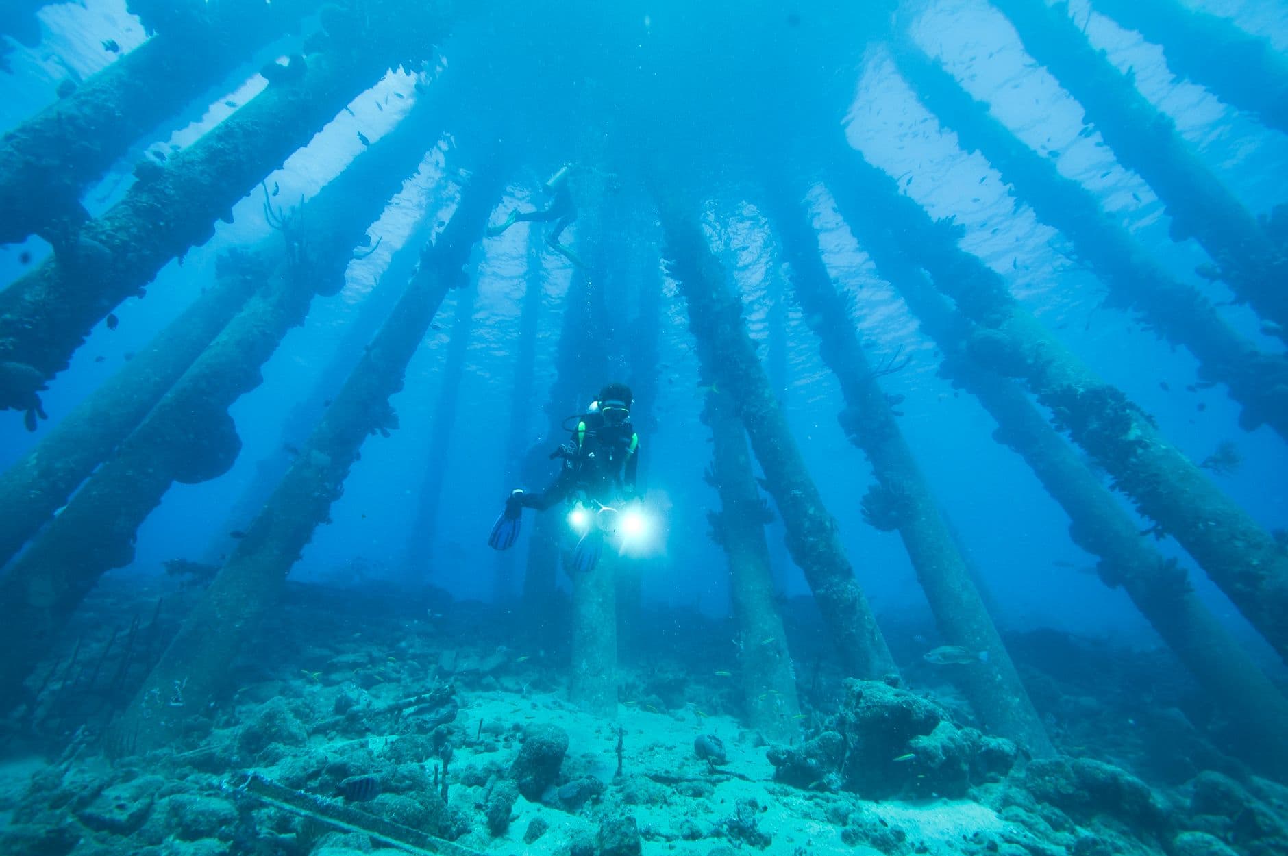 The Complete Bonaire Diving Guide: Shore Diving Capital of the World