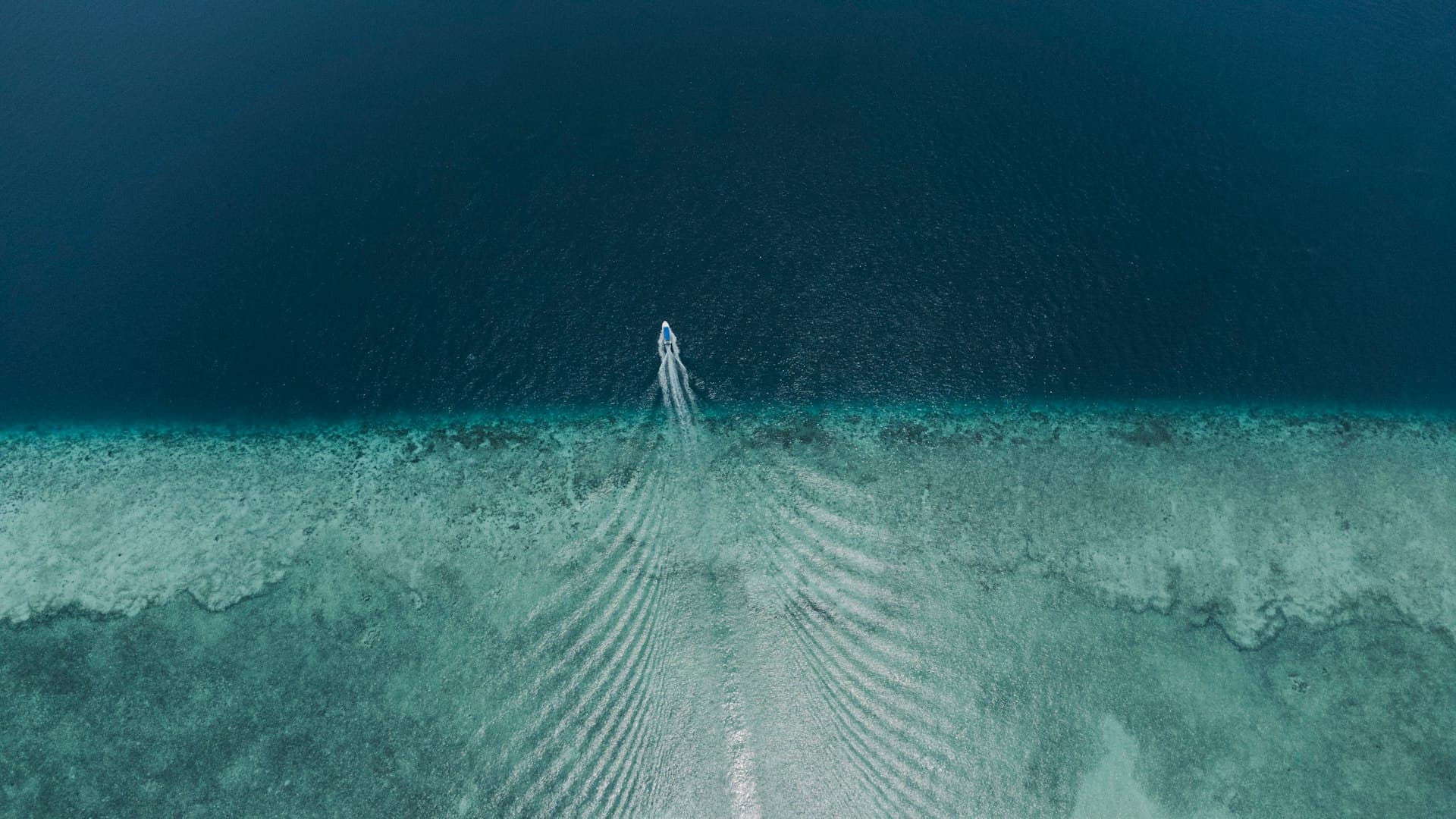 Sipadan & Mabul Diving Guide: Borneo's Coral Triangle Paradise