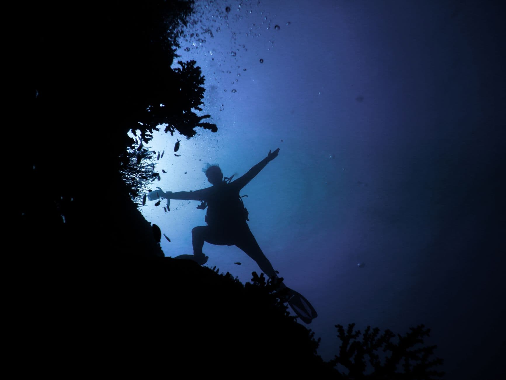 The Complete Bunaken Diving Guide: Walls, Turtles & Reefs