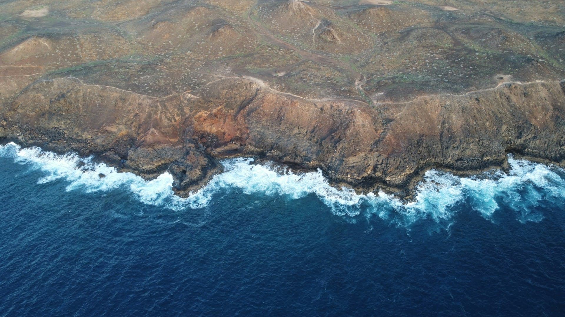 Top Dive Sites in the Canary Islands