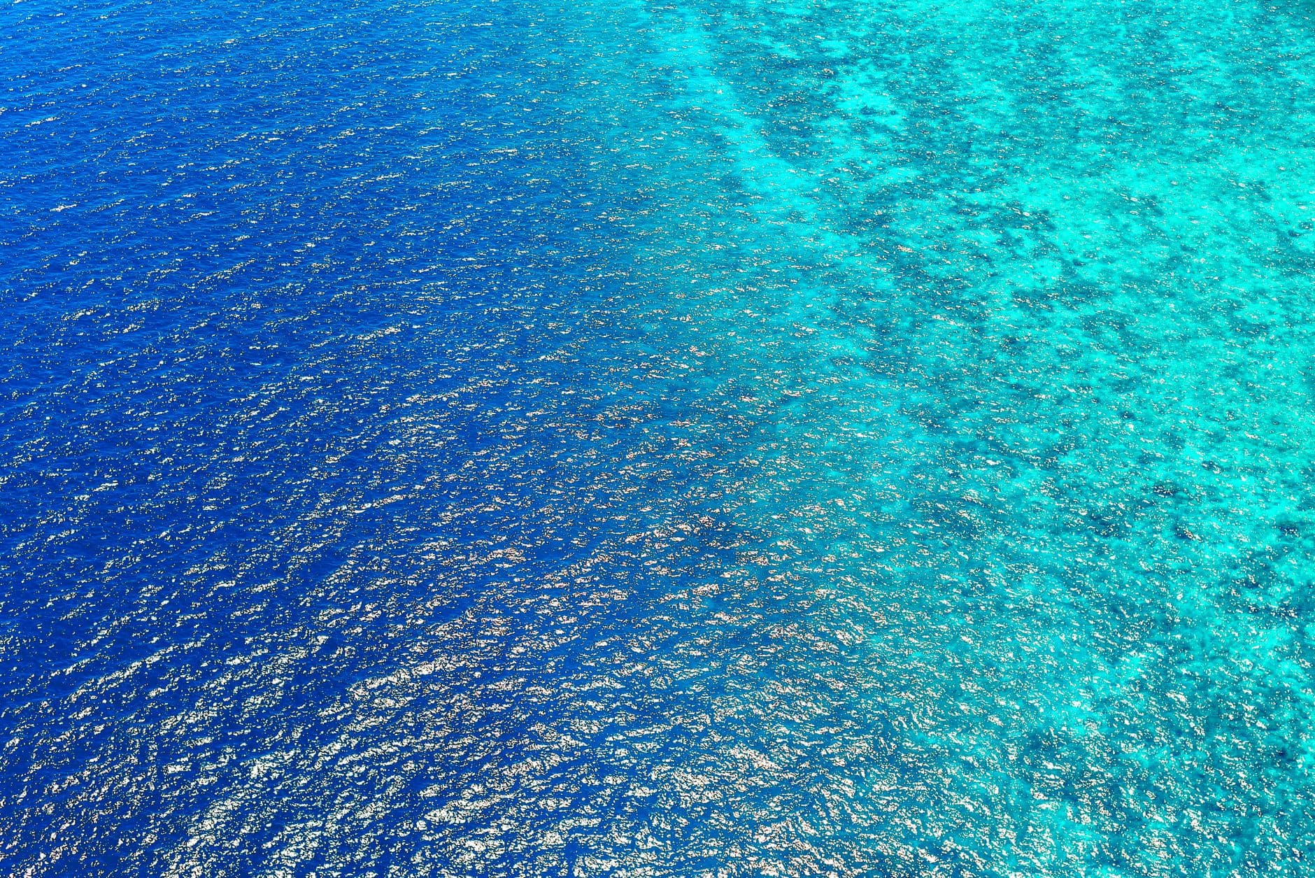 Diving Comoros: Conditions, Seasons, and What to Expect