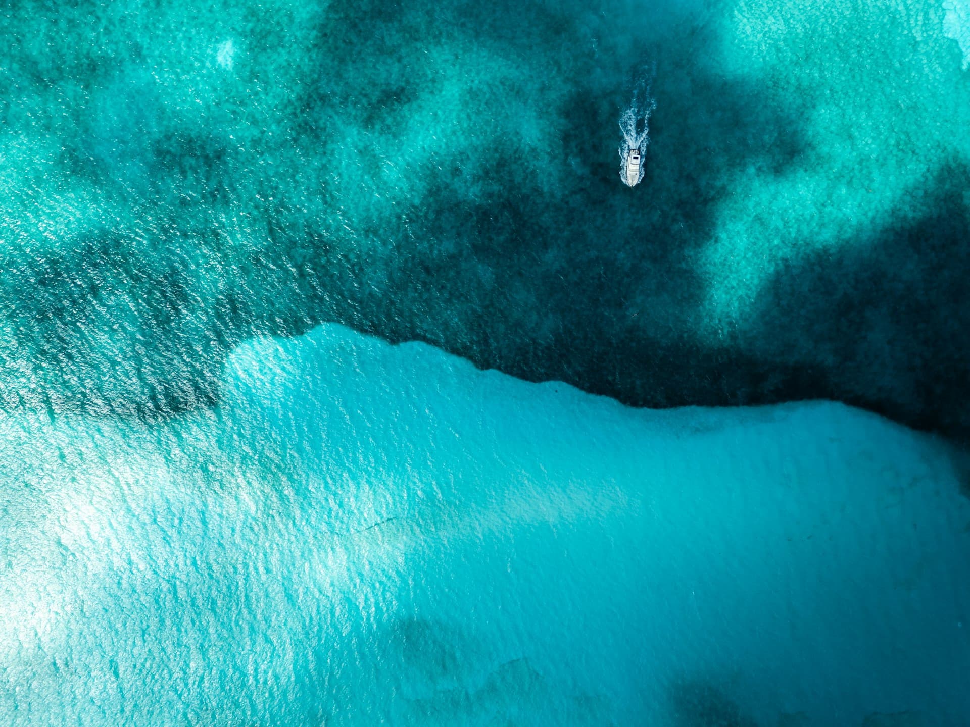 Guía Completa de Buceo en Cozumel (2026)