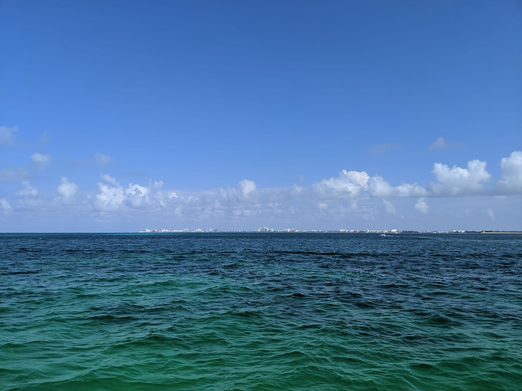 Diving Cozumel: Conditions, Seasons, and What to Expect