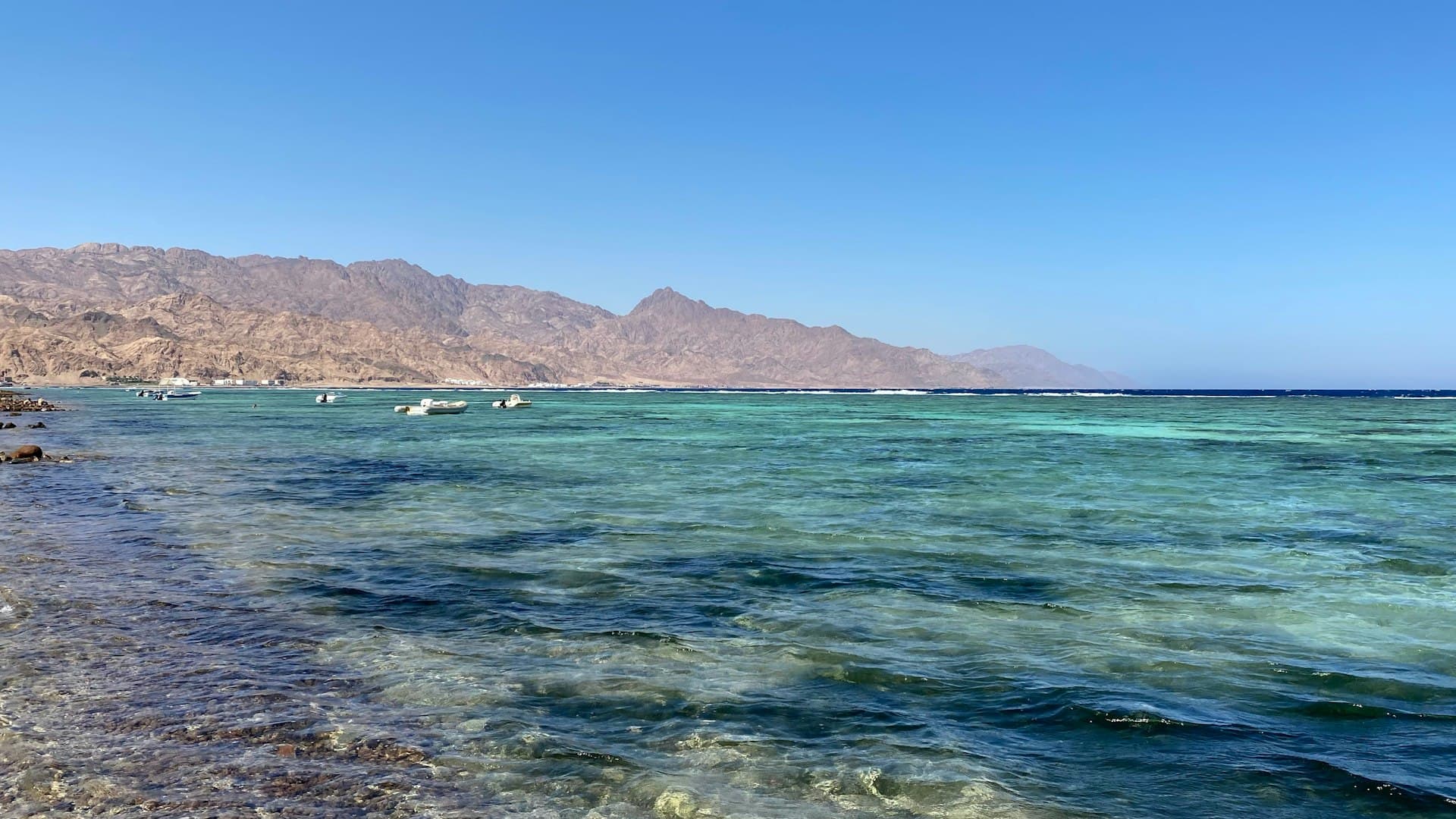 Dahab Dive Conditions: Temperature, Visibility & Seasons