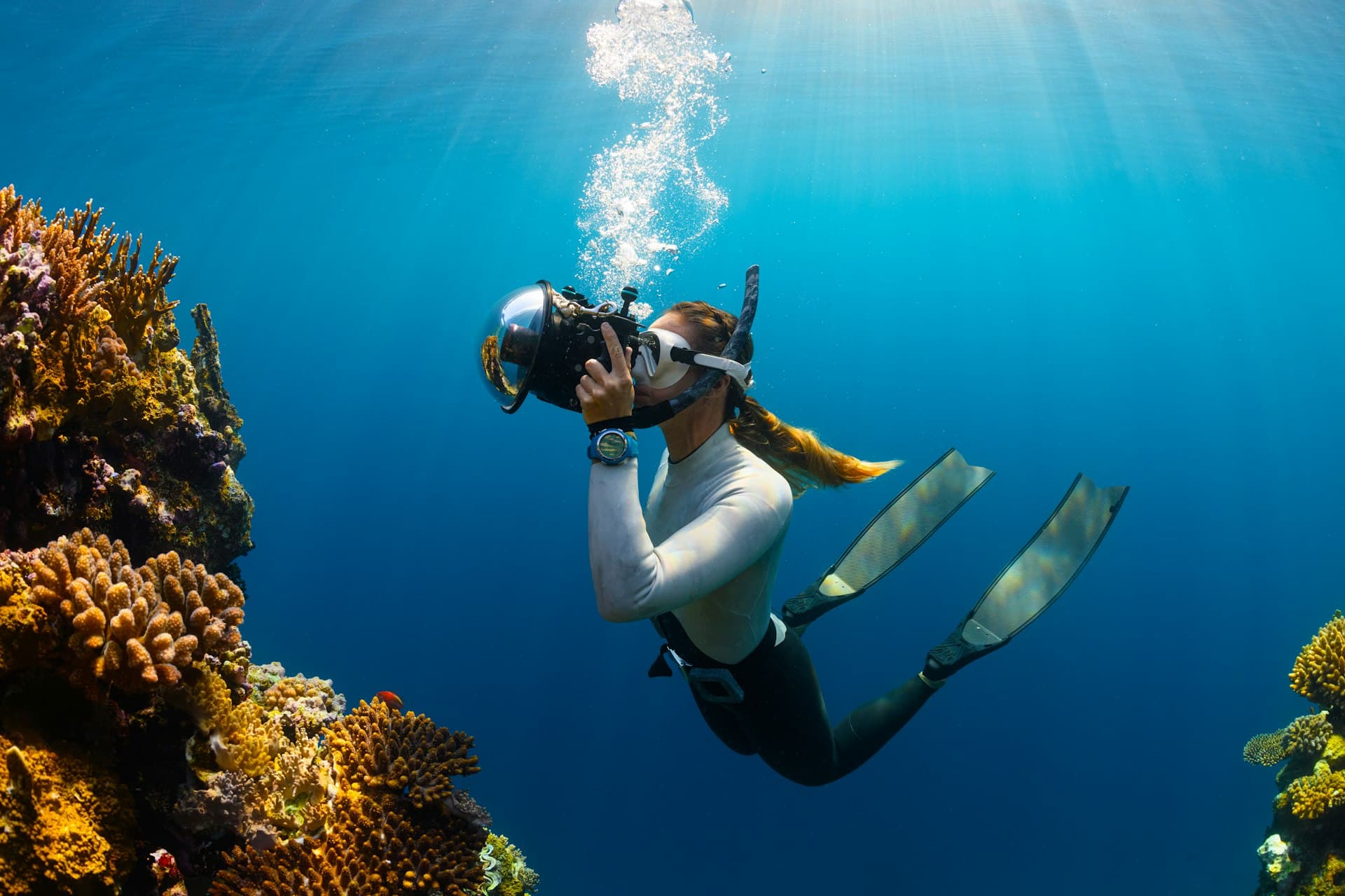 Dahab Diving Guide: Red Sea Shore Diving Capital