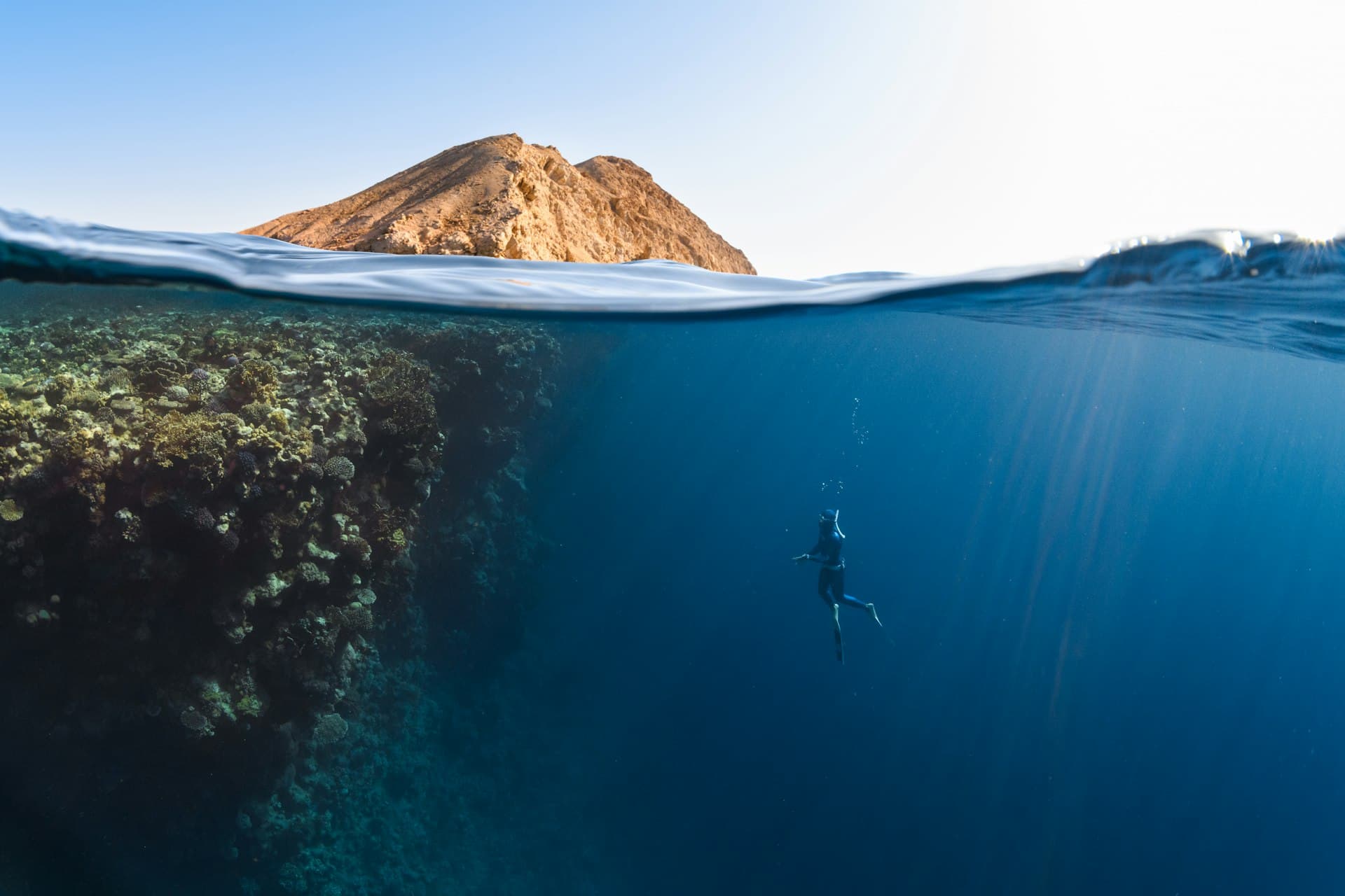 Diving the Farasan Banks: Saudi Arabia's Reef Guide