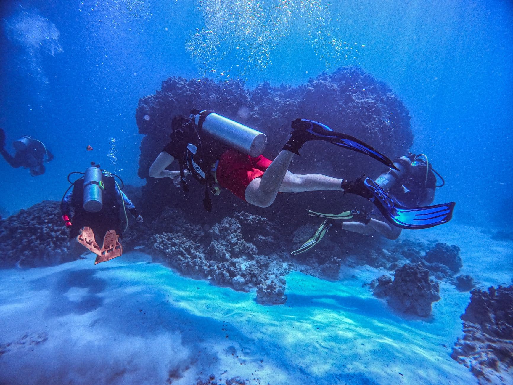 Diving Fiji: The Complete Guide to the Soft Coral Capital