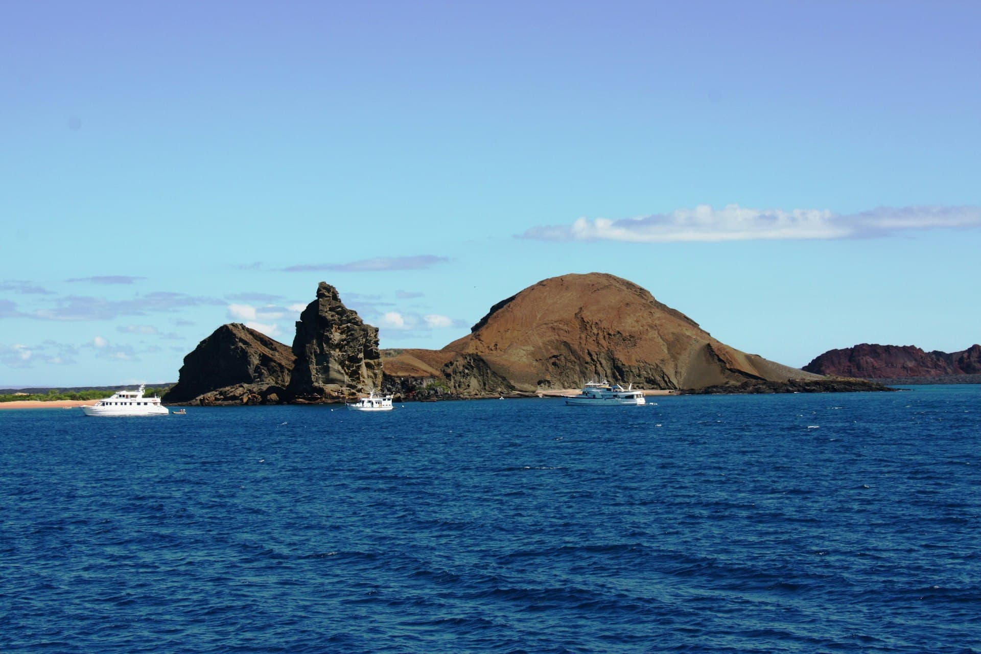 Diving Galápagos: Conditions, Seasons, and What to Expect