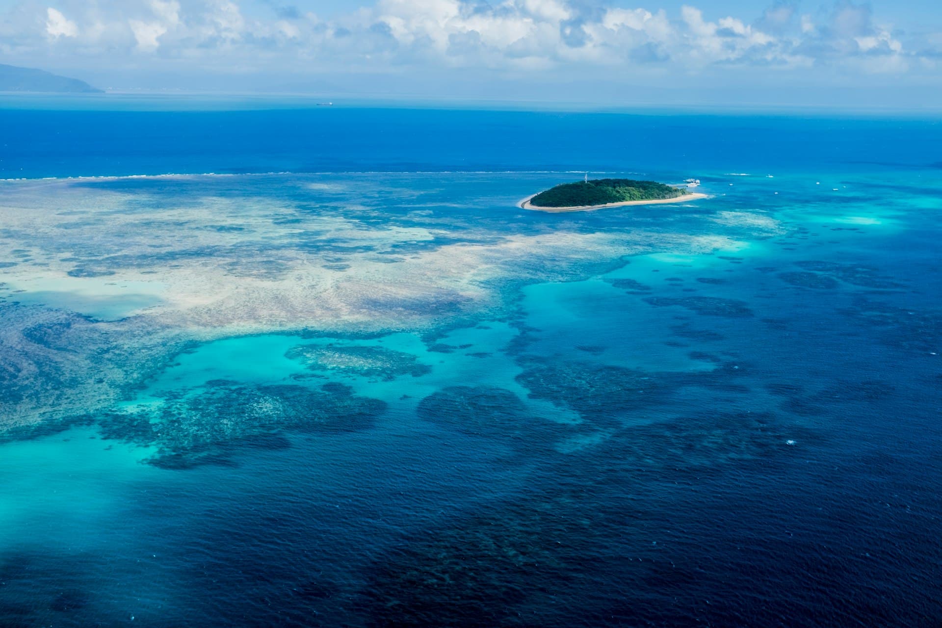 Great Barrier Reef Dive Conditions: Temperature, Visibility & Seasons