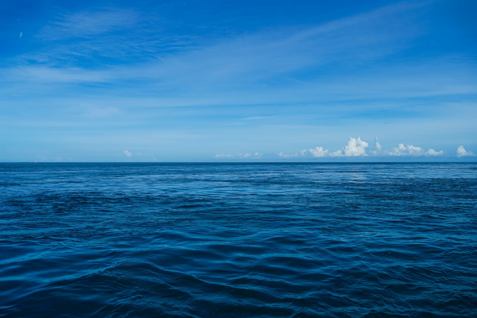 Koh Tao Diving Conditions: Temperature & Seasons Guide