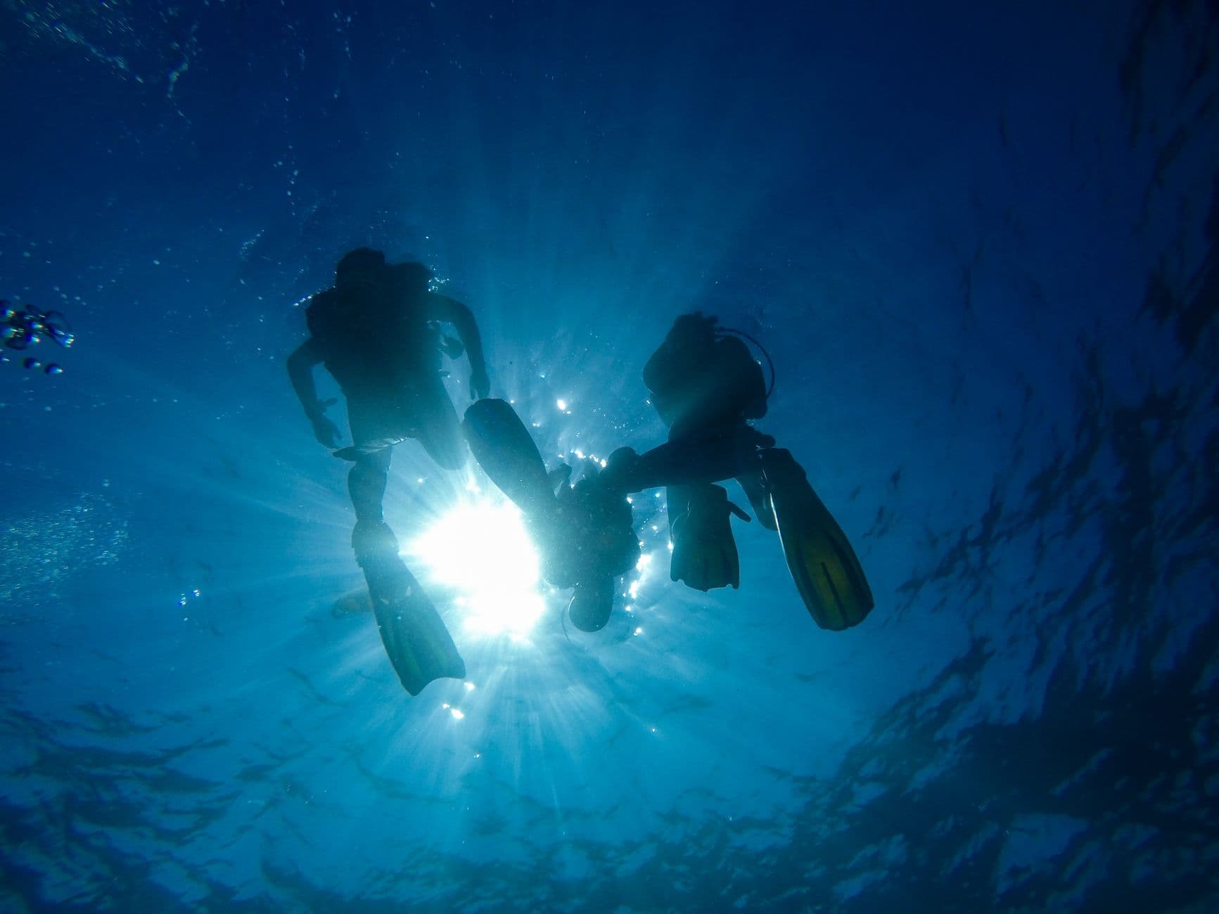 The Complete Guide to Diving Koh Tao: Sites, Species & Costs