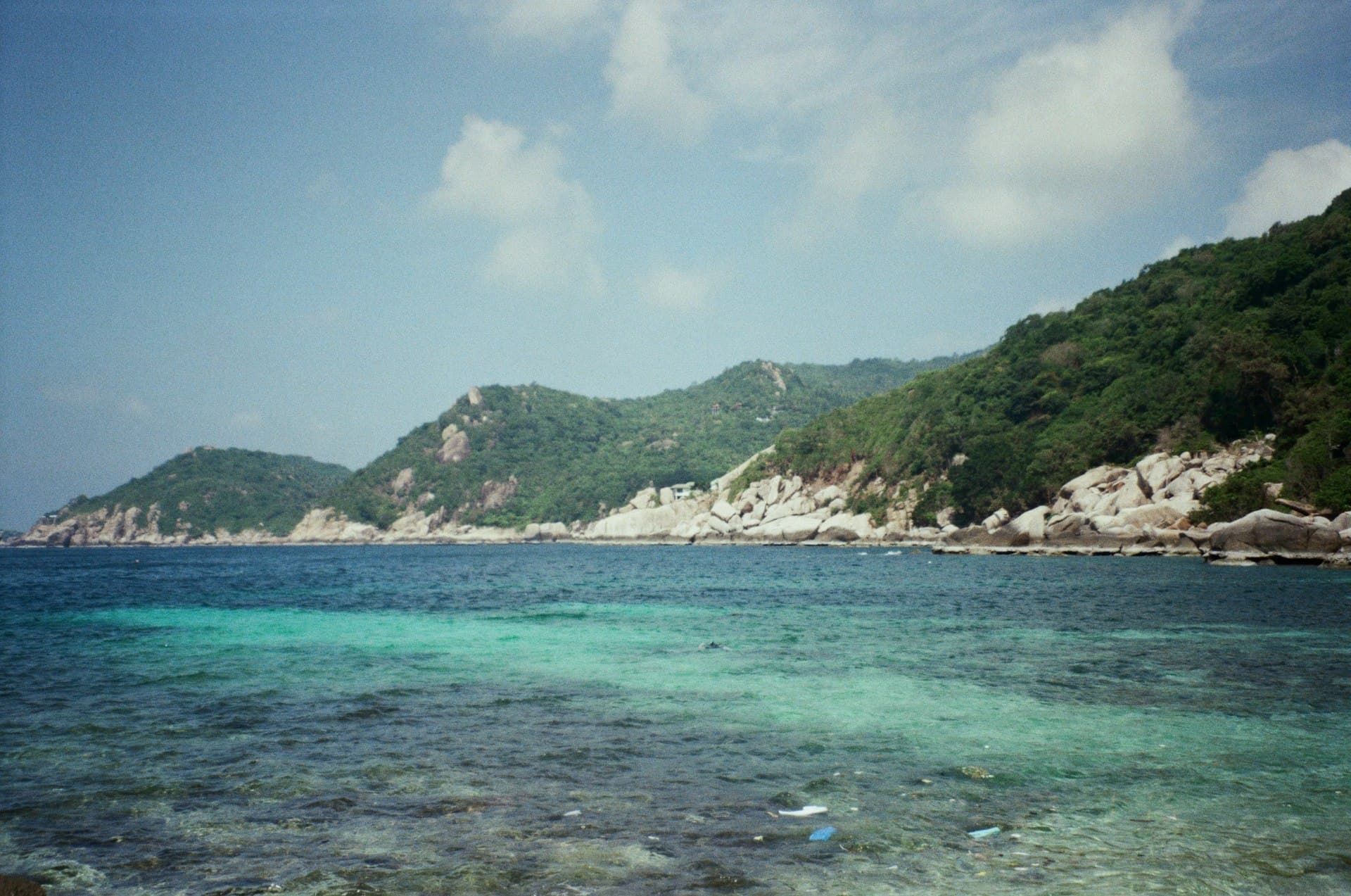 Top 12 Dive Sites in Koh Tao: Ranked for Every Level