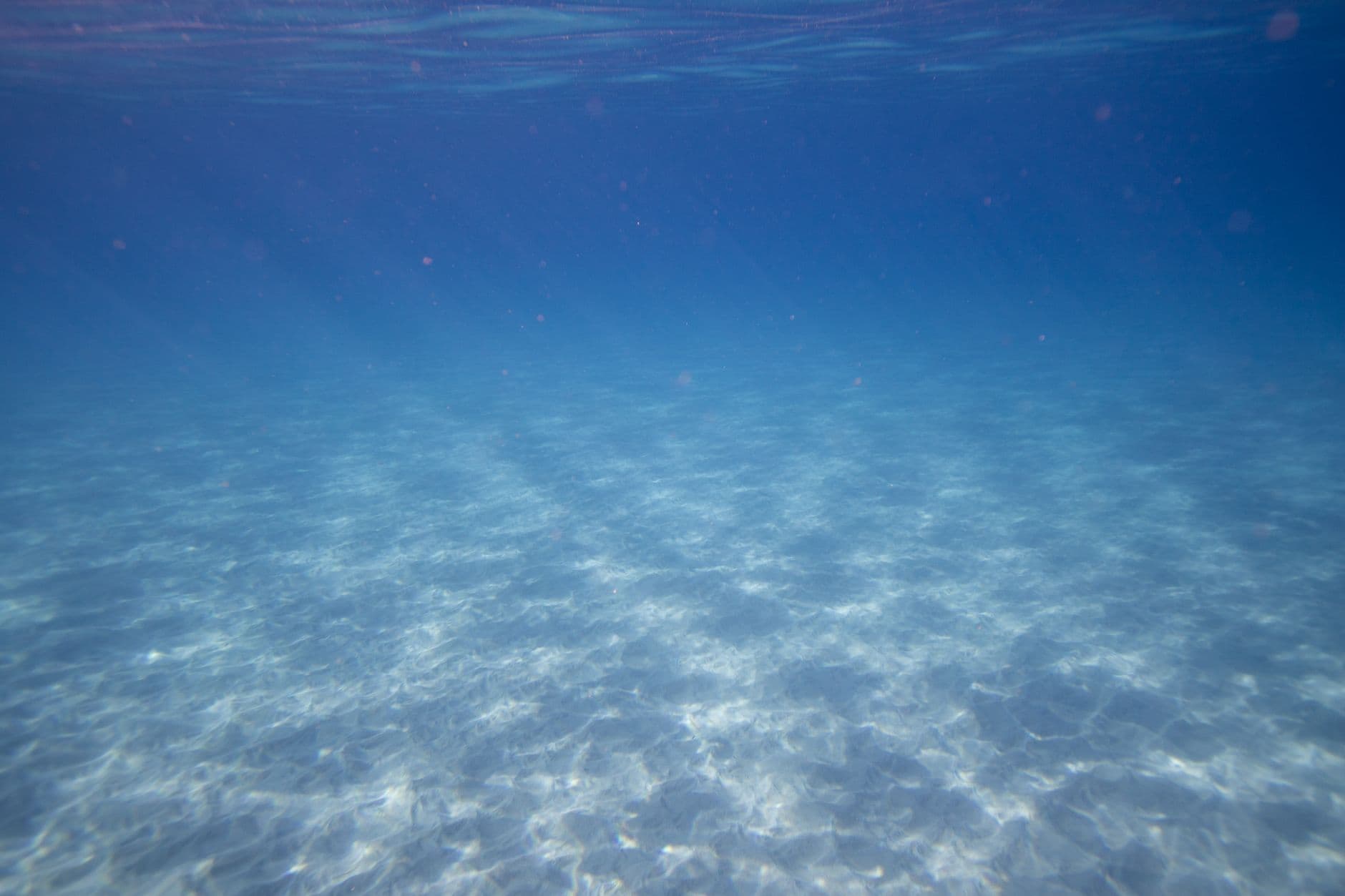 Diving Layang Layang: Conditions, Seasons & What to Expect