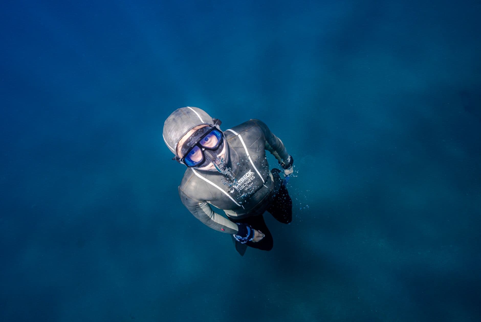 Malpelo Dive Conditions: Temperature, Visibility & Seasons