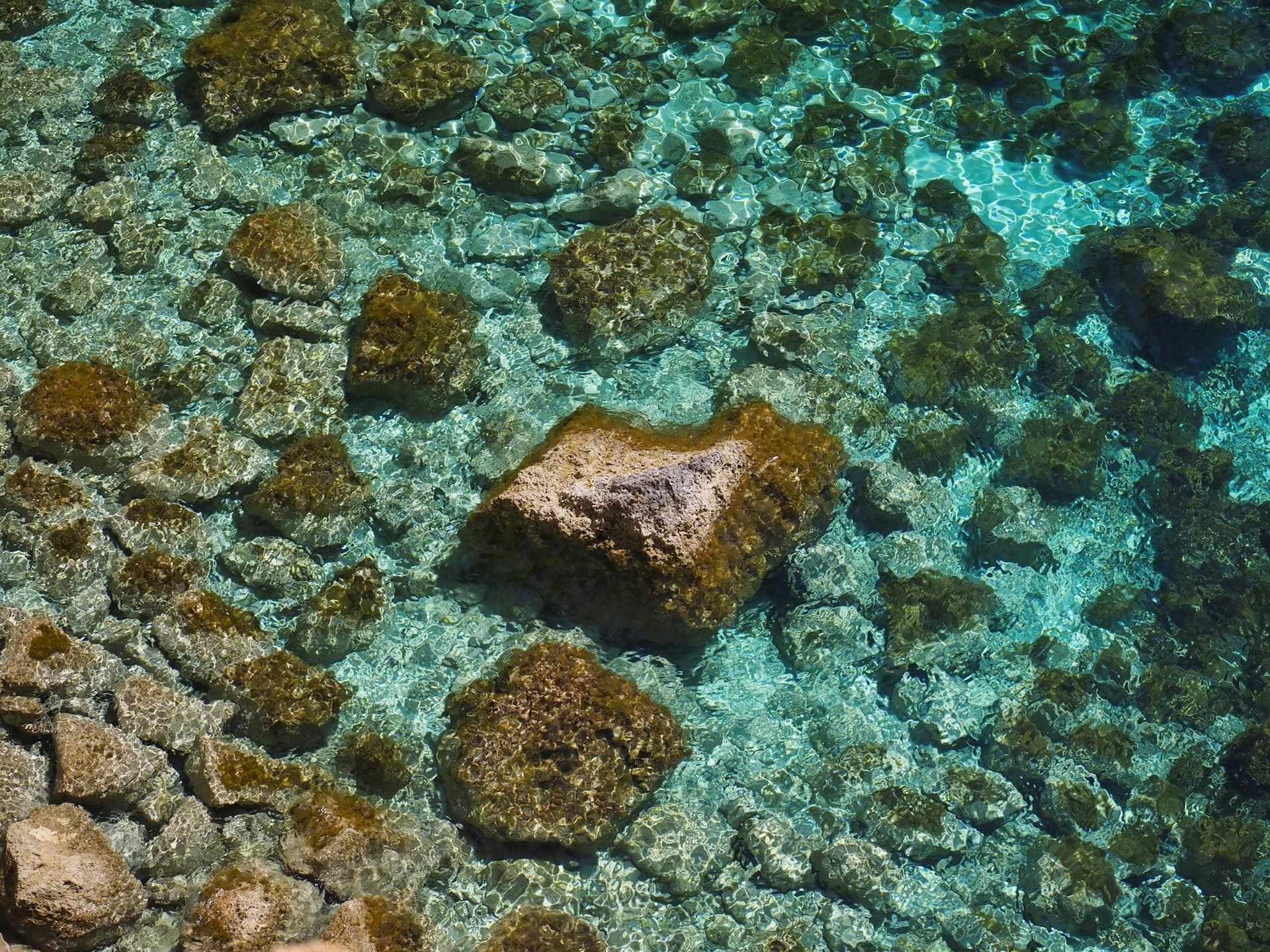 Top Dive Sites in Malta and Gozo