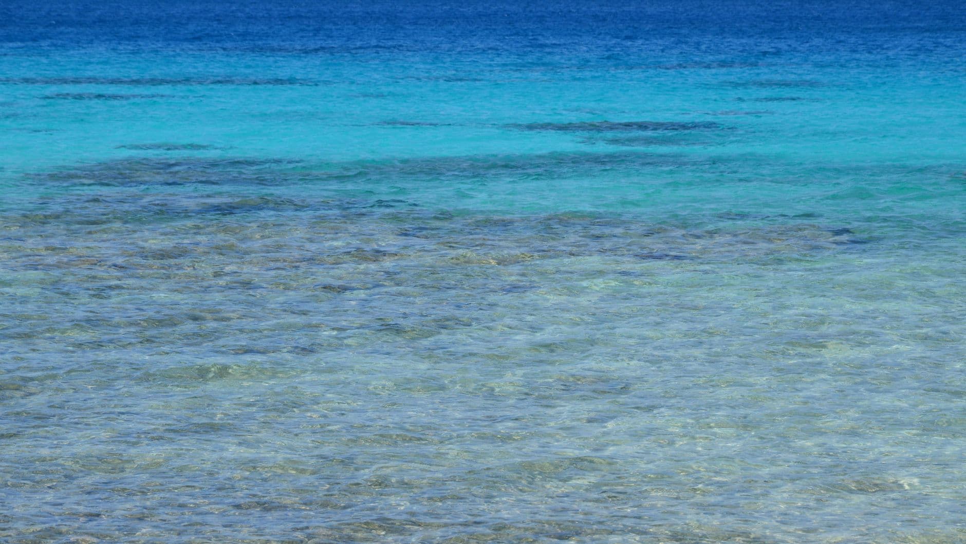 Marsa Alam Dive Conditions: Temperature & Seasons