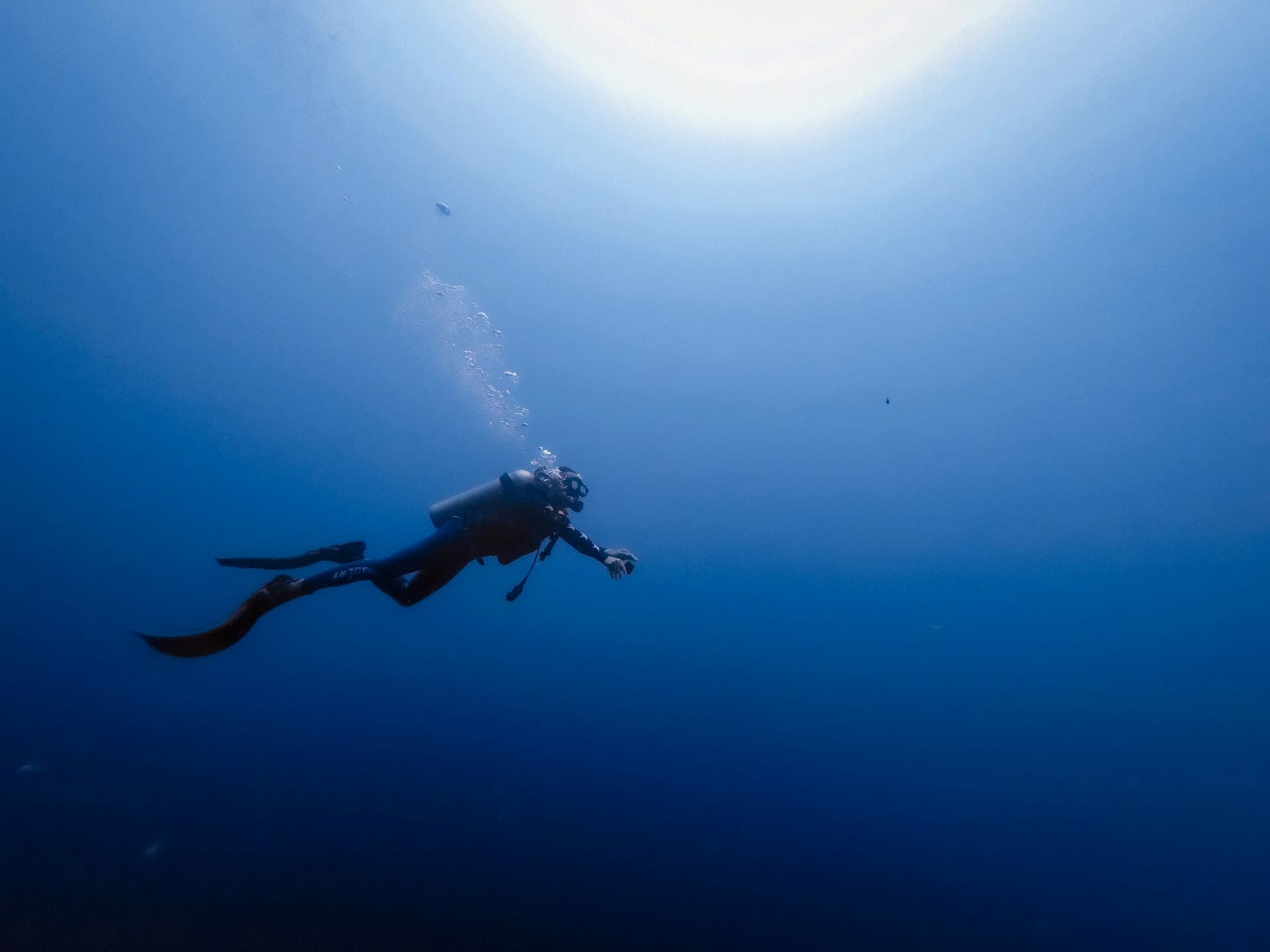 The Complete Marsa Alam Diving Guide: Sites & Species