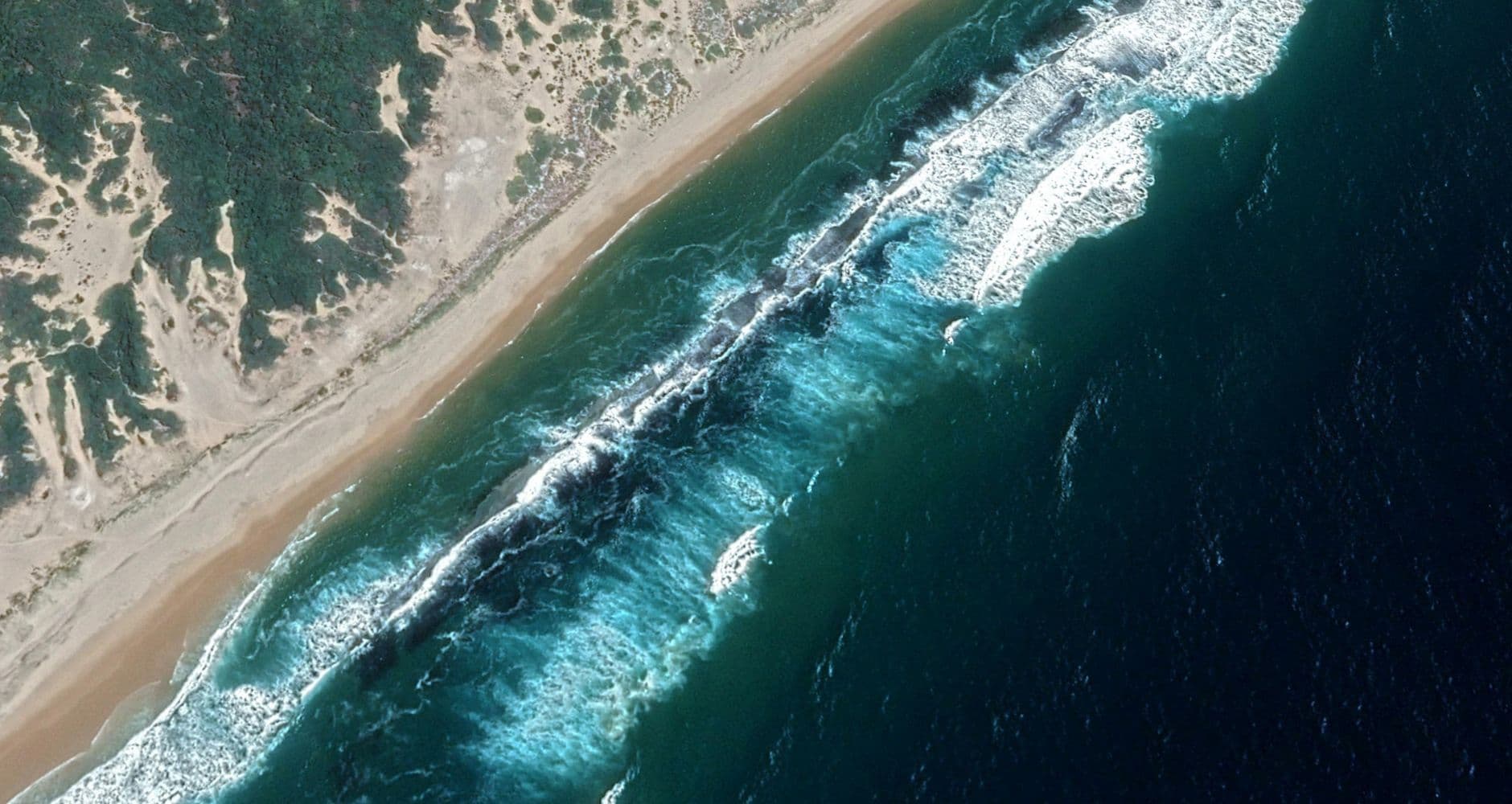 Ponta do Ouro Dive Conditions: Seasons & Visibility