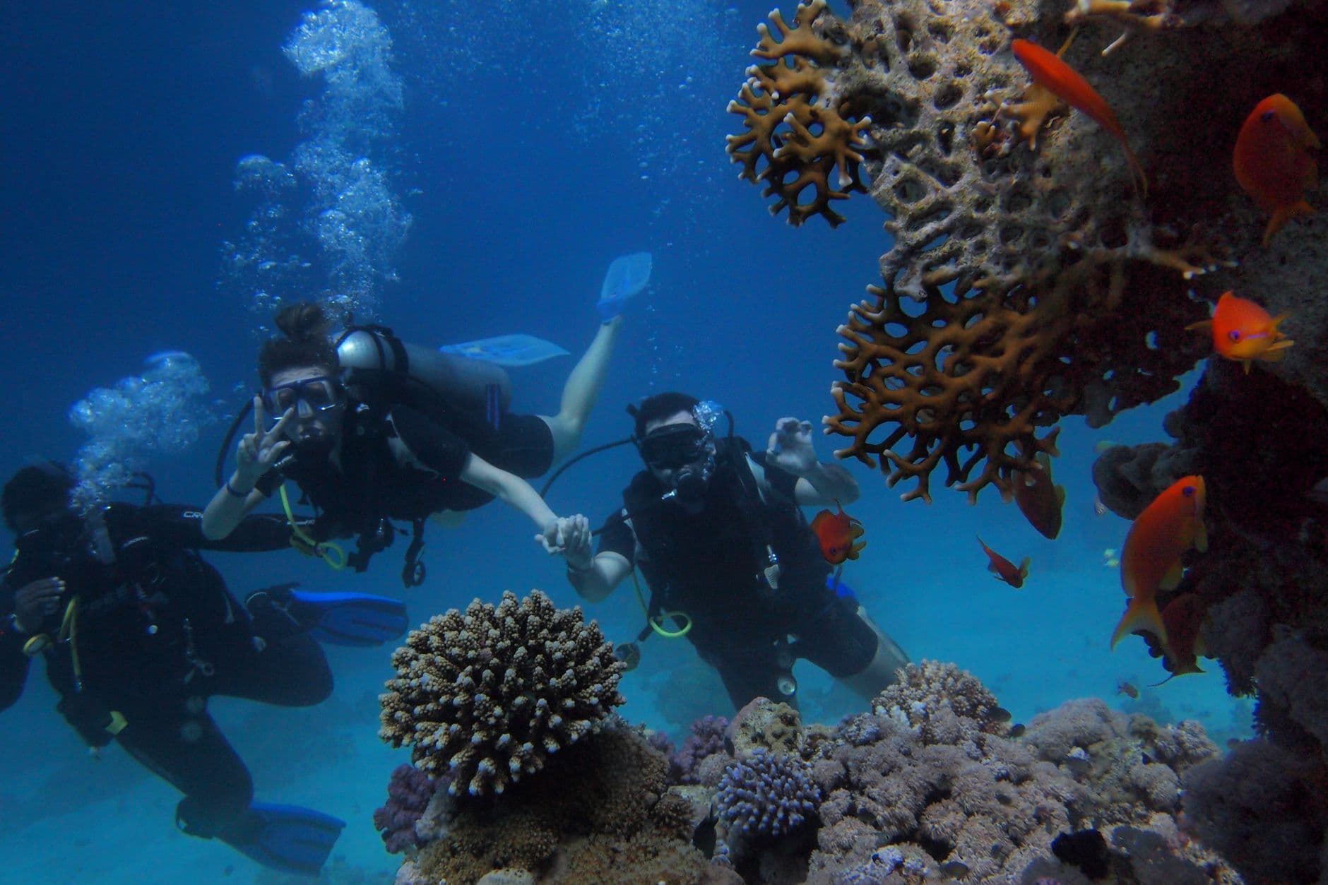 Red Sea Diving Guide: Egypt's Underwater Paradise