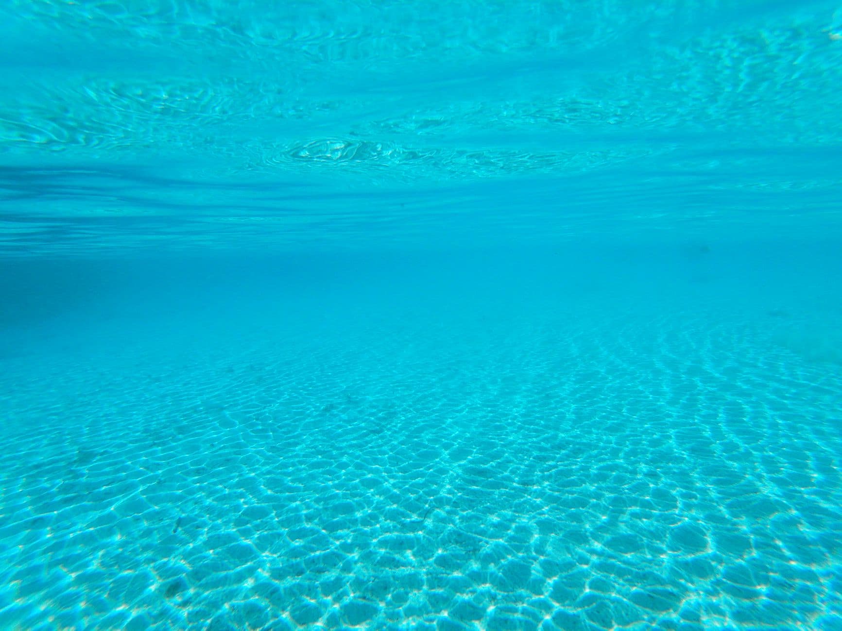 San Benedicto Dive Conditions: Seasons, Temps & Currents