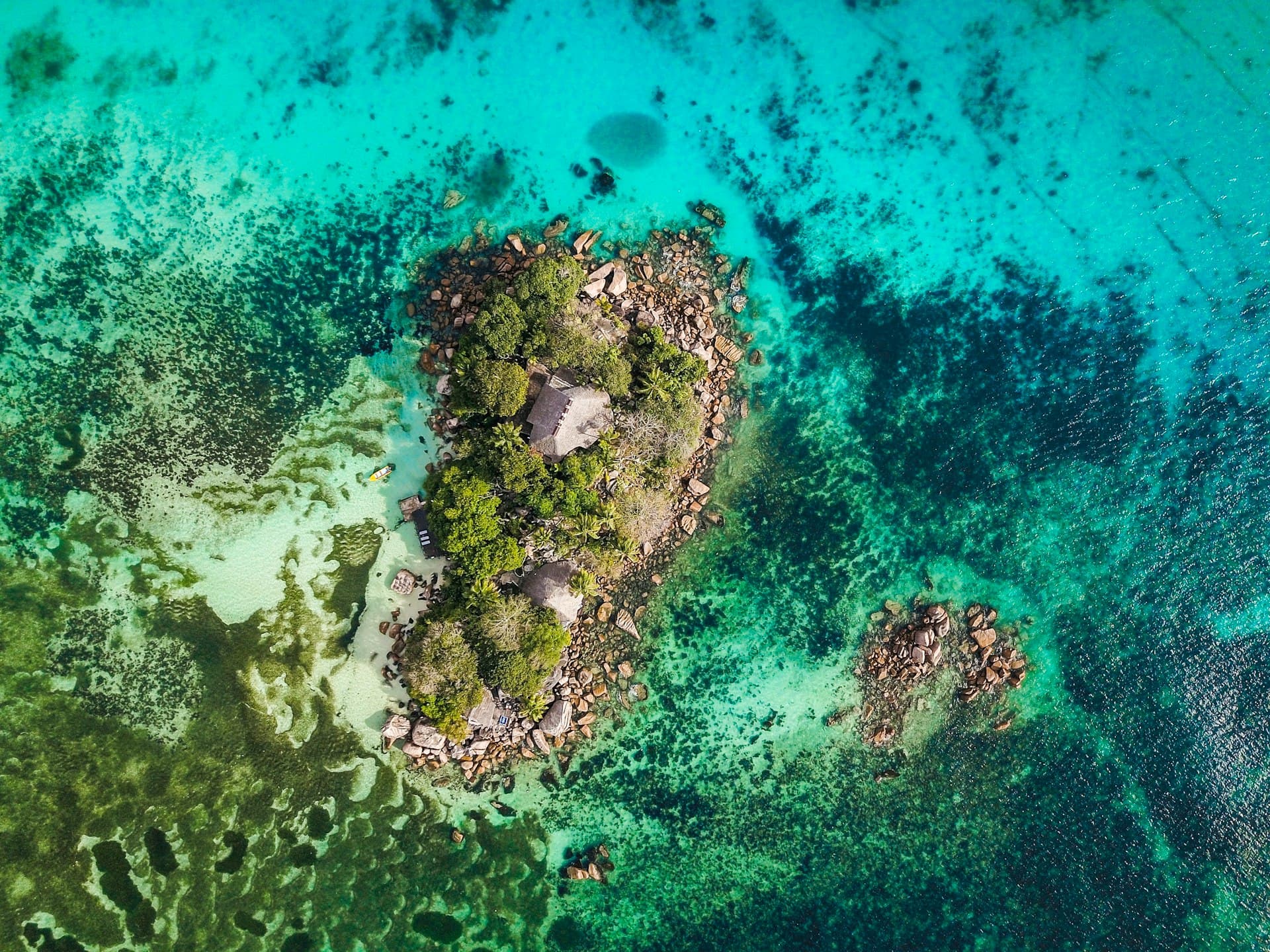 Top 12 Dive Sites in Seychelles: Complete Guide