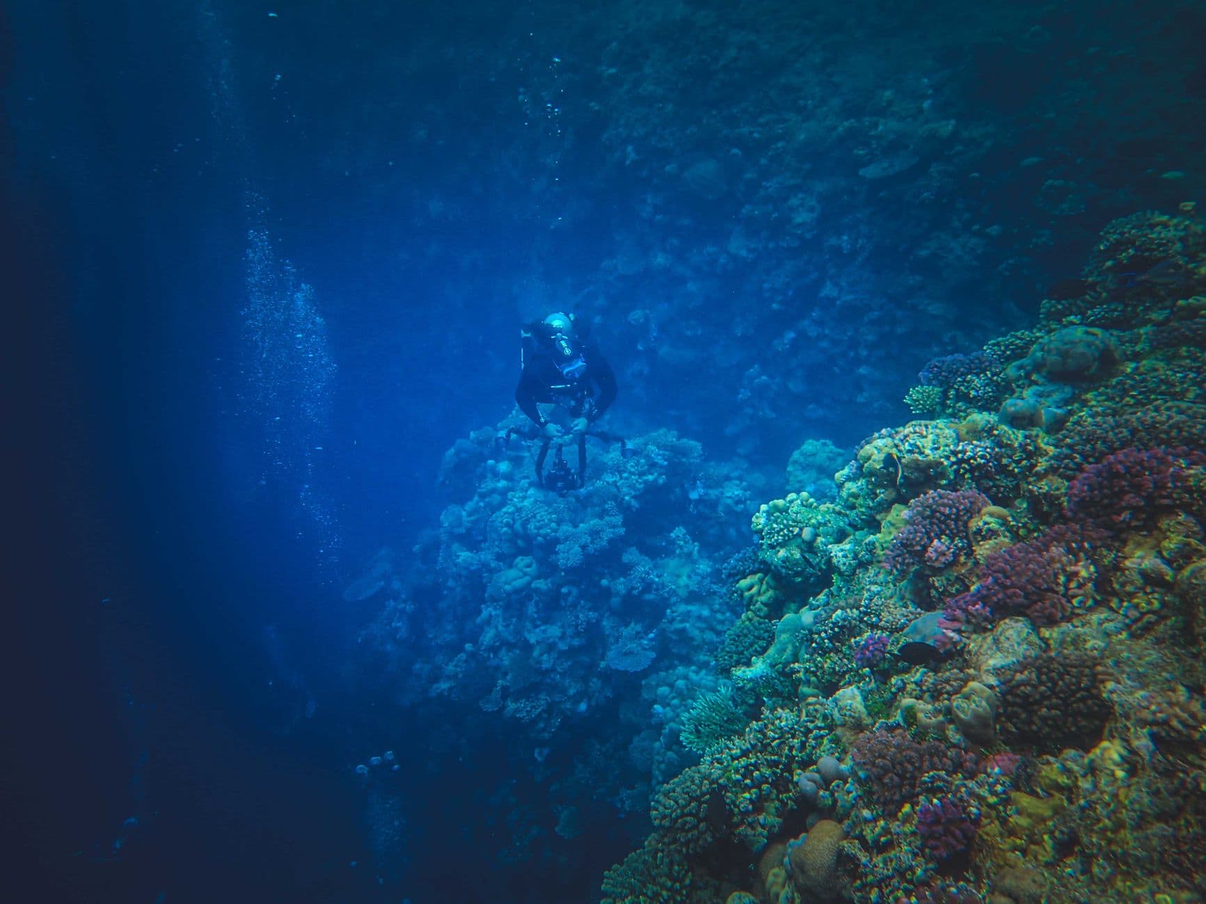 The Complete Sharm El Sheikh Diving Guide: Red Sea's Finest