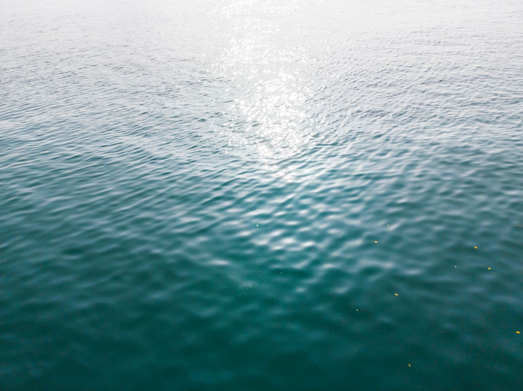 Diving Sipadan: Conditions, Seasons, and What to Expect