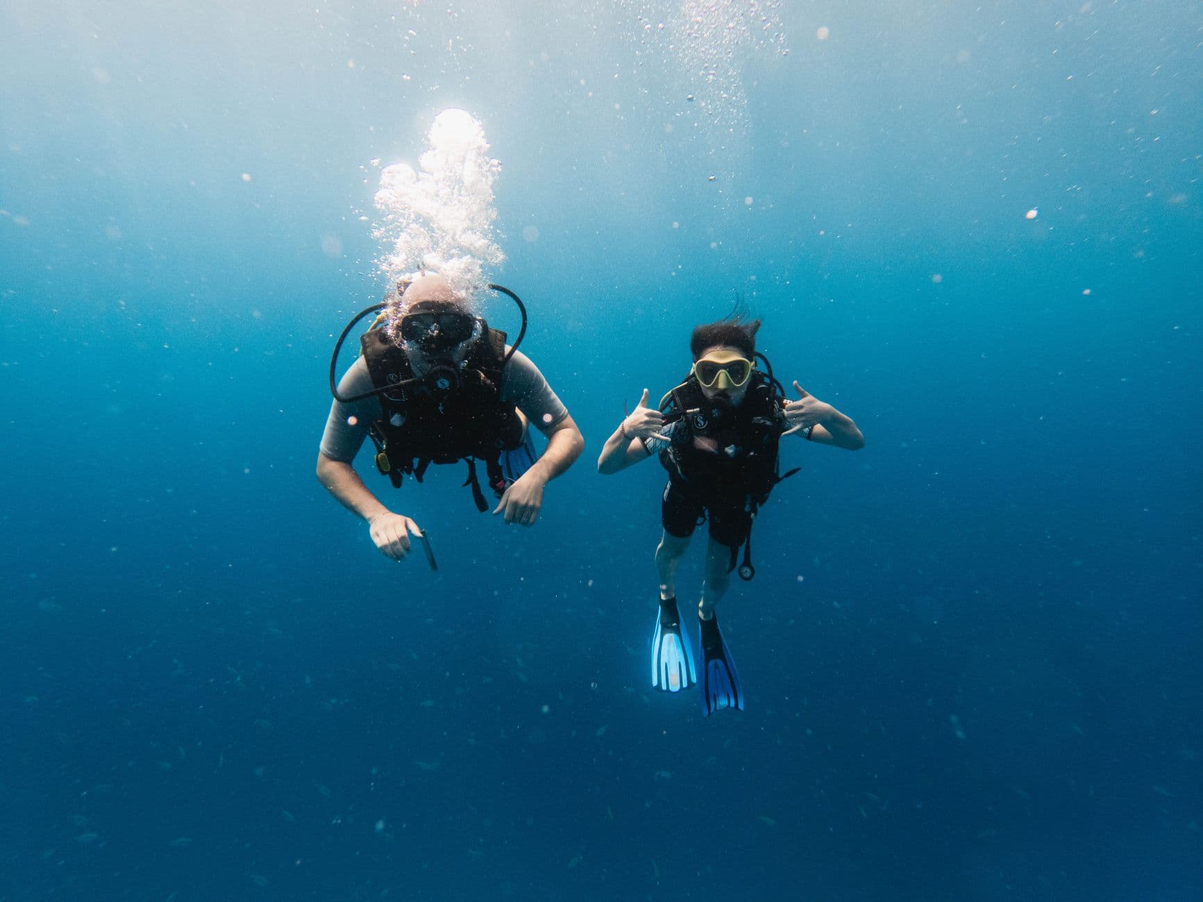 The Complete Sipadan Diving Guide: Sites & Species