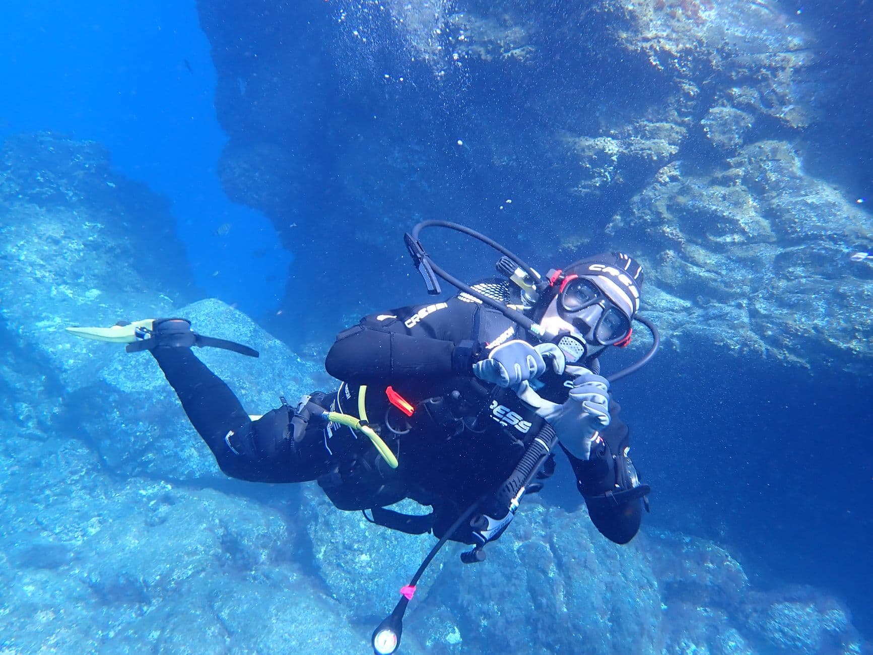 Socorro Islands Diving Guide: Mantas, Sharks & Whales