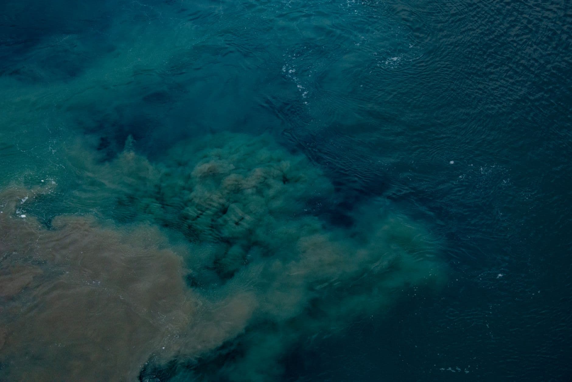 Tonga Dive Conditions: Temperature, Visibility & Currents