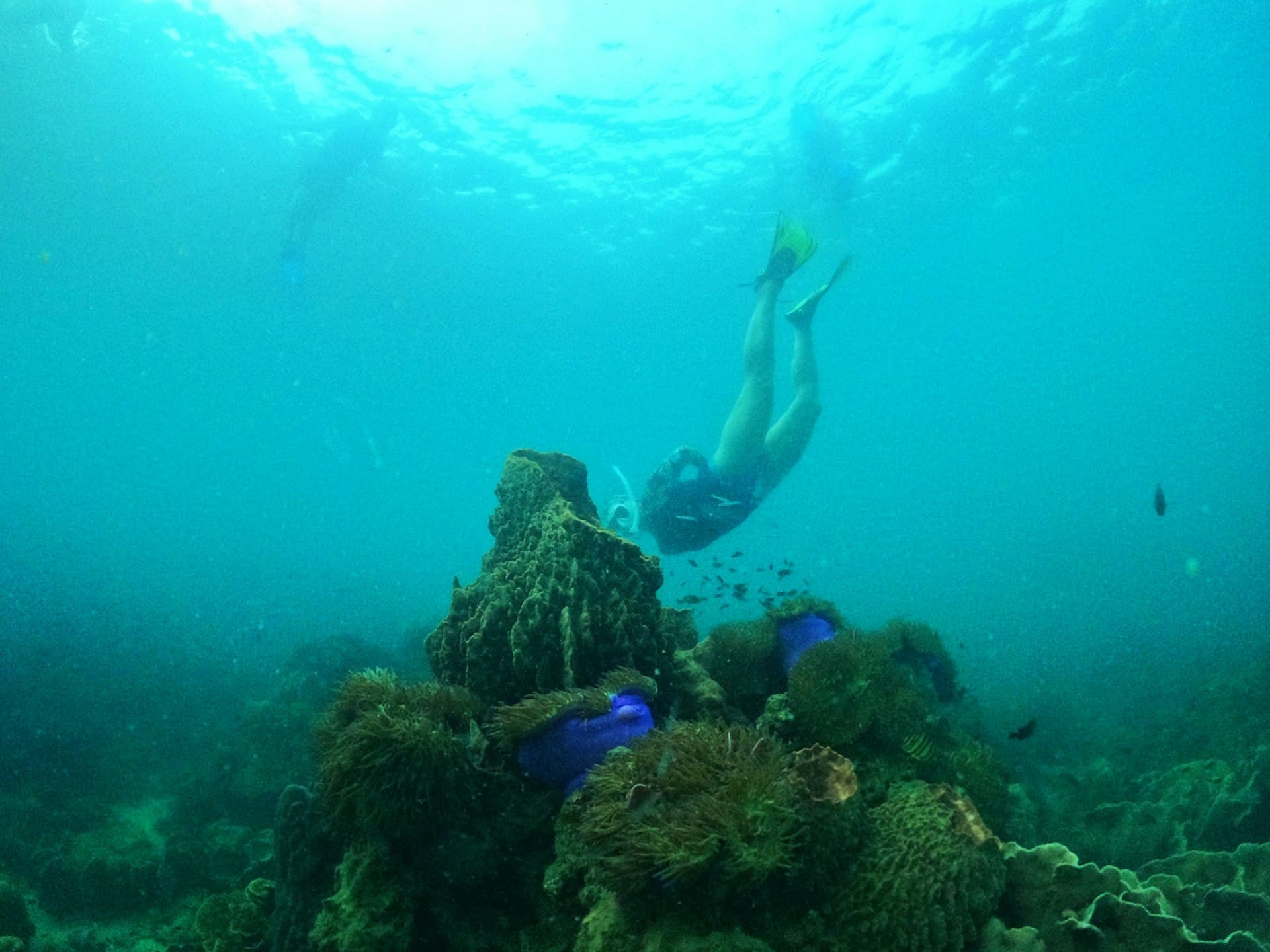 Vietnam Diving Guide: Con Dao, Nha Trang & Phu Quoc