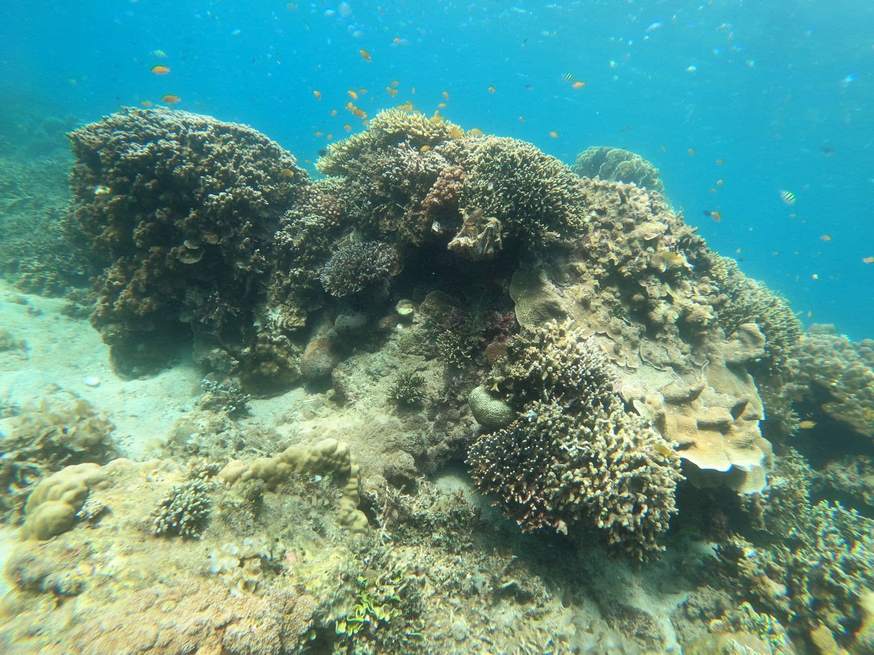 Top 10 Dive Sites in Vietnam: Con Dao, Nha Trang & Phu Quoc