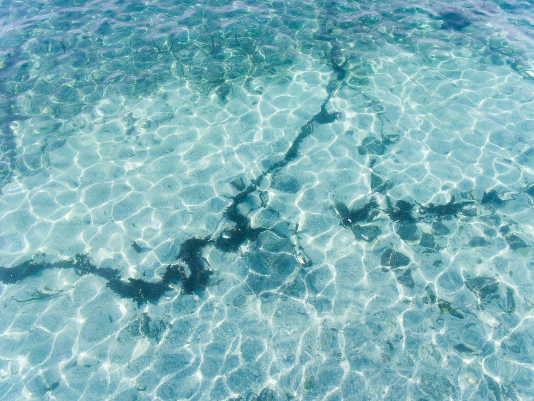 Wakatobi Dive Conditions: Visibility, Temperature & Seasons