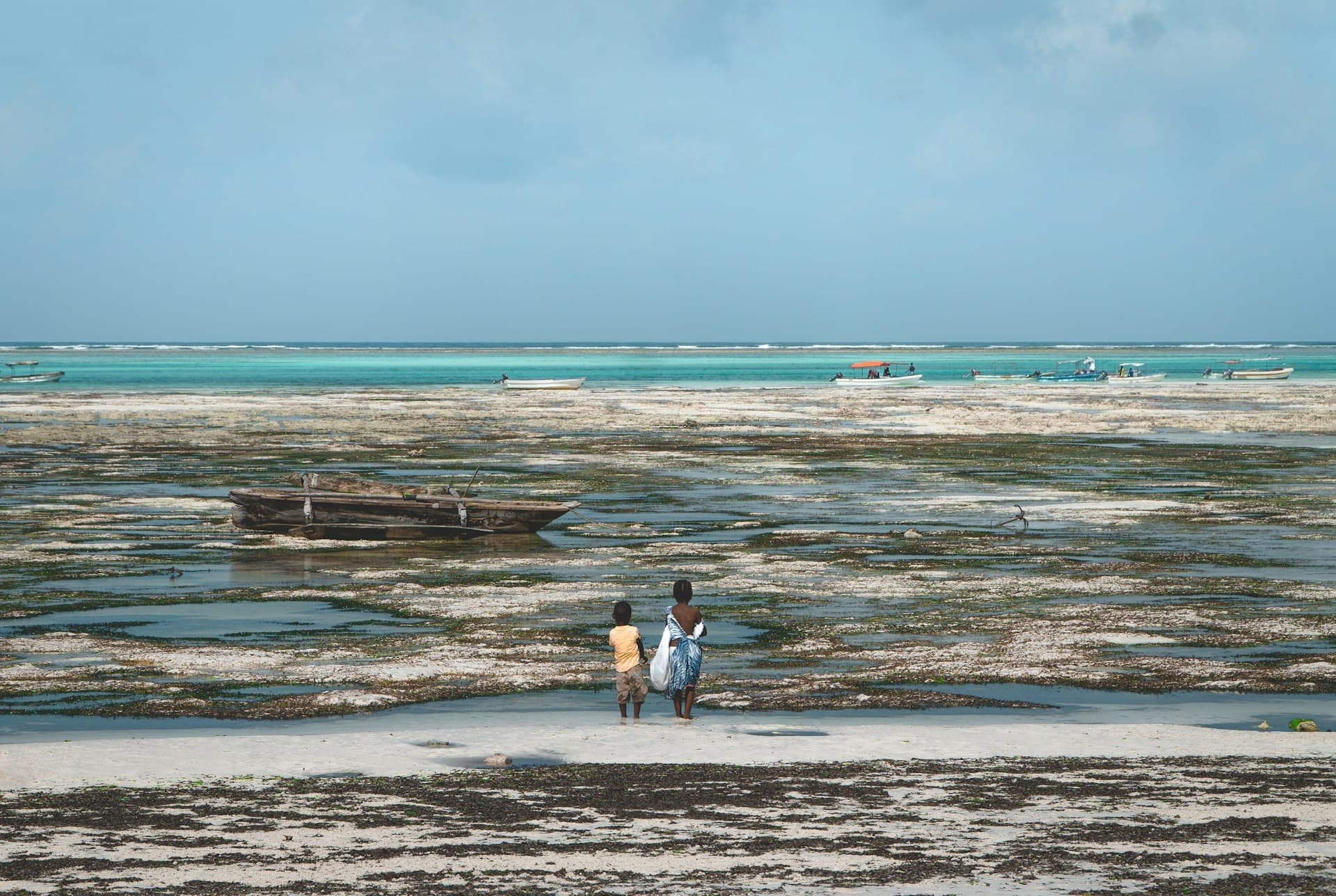 The Complete Zanzibar Diving Guide: Mnemba to Pemba