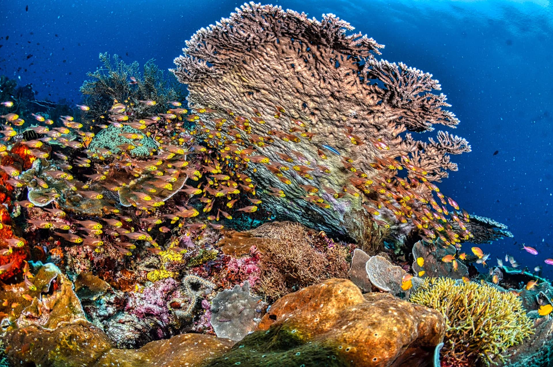 Gili Islands