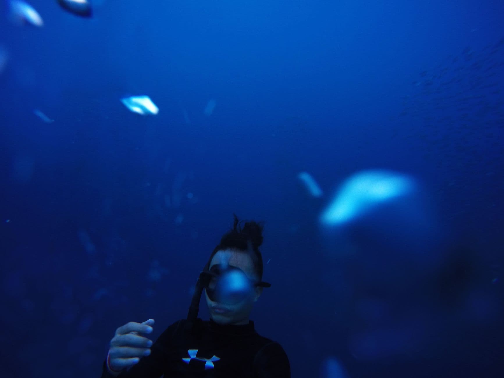 Malpelo Island