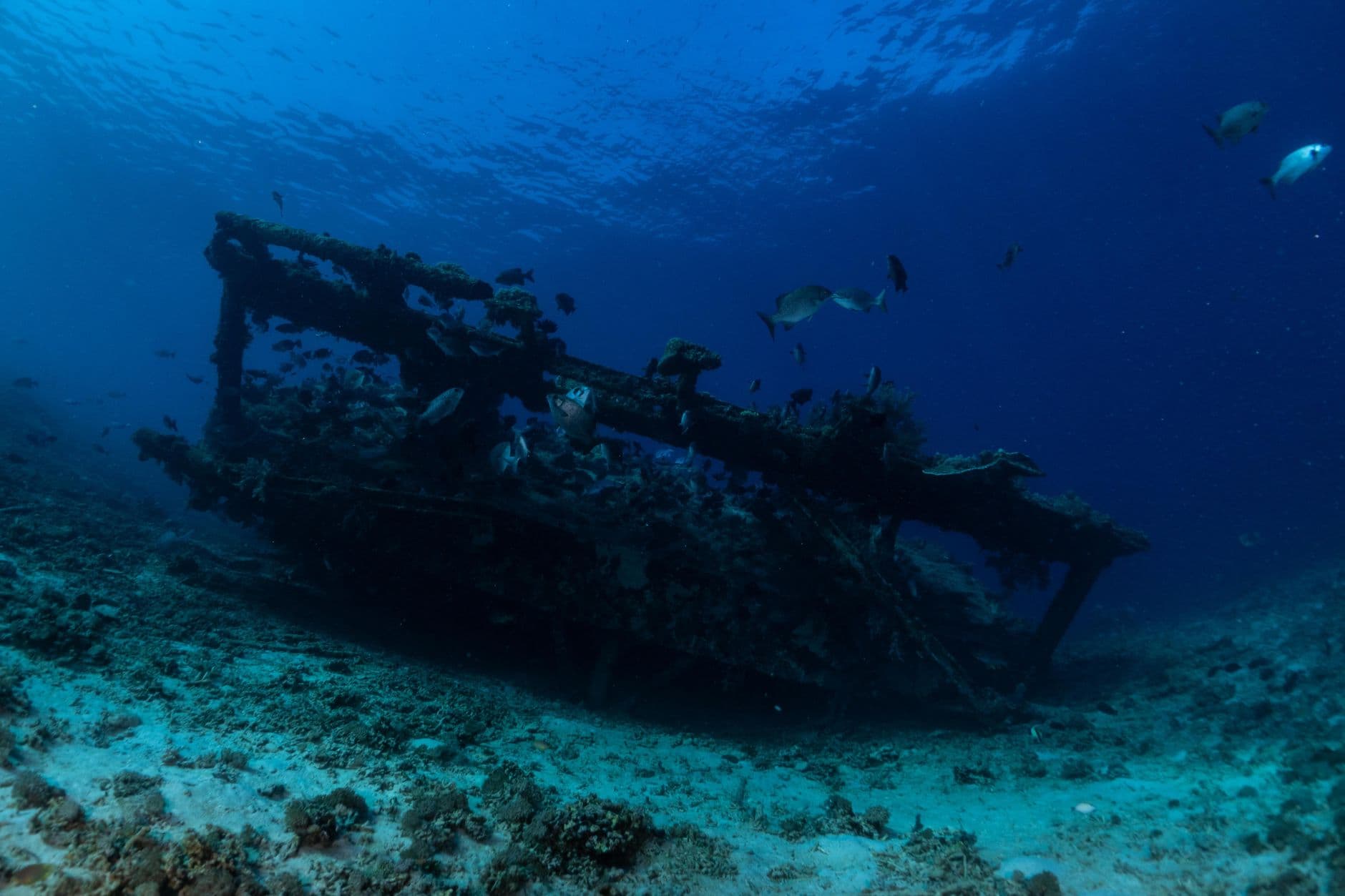 Socorro Islands (Revillagigedo)