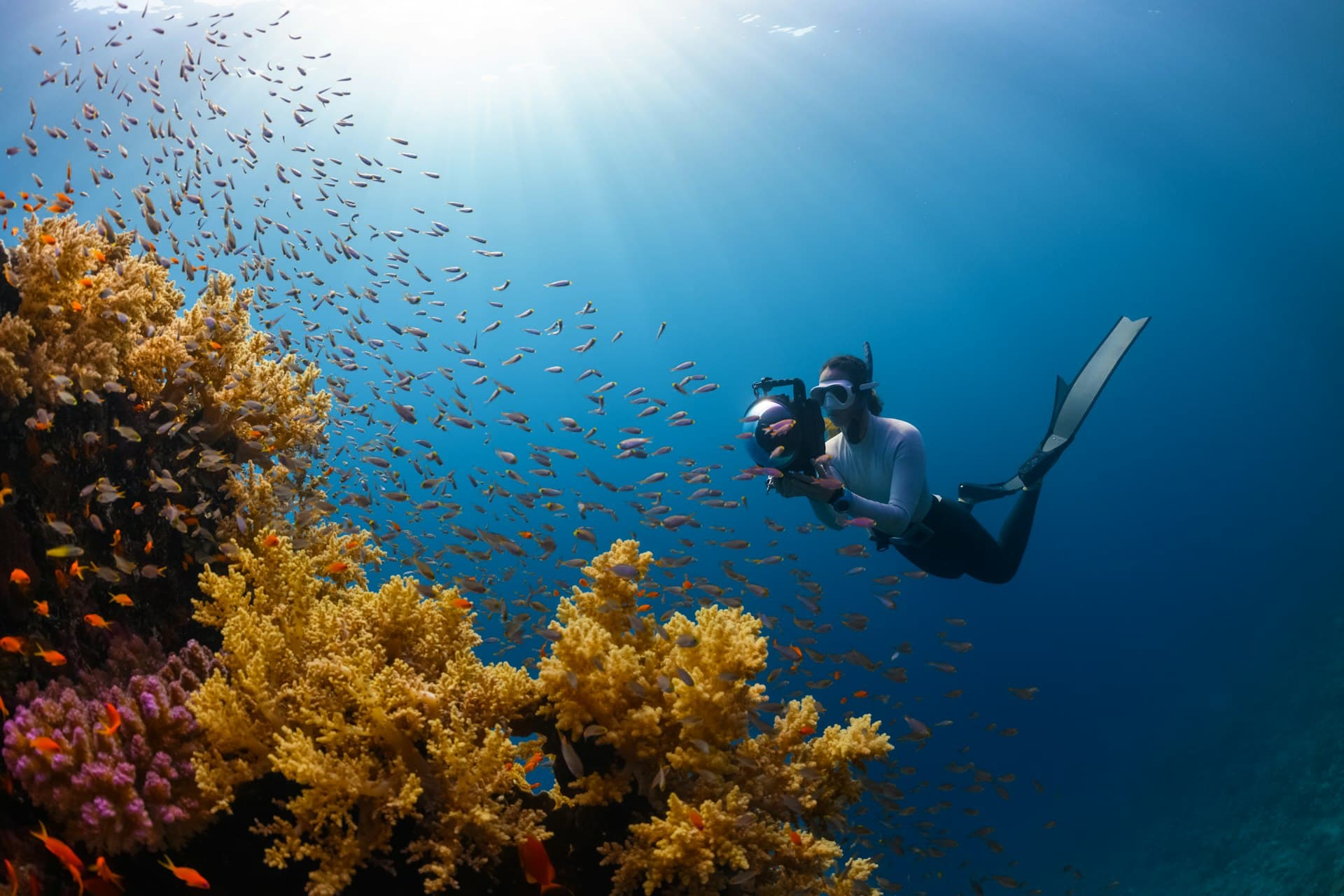 Guía de Buceo en Playa del Carmen