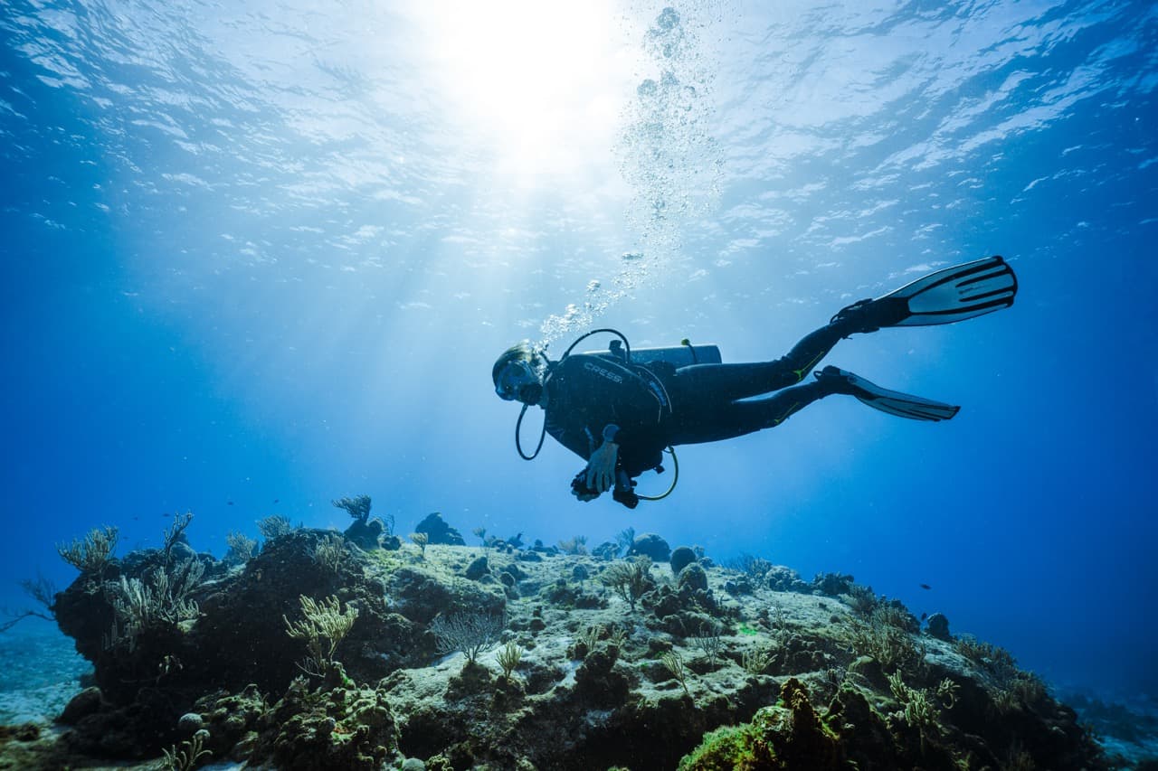 How DivePass Booking Works: Reserve Your Cozumel Dives in Minutes