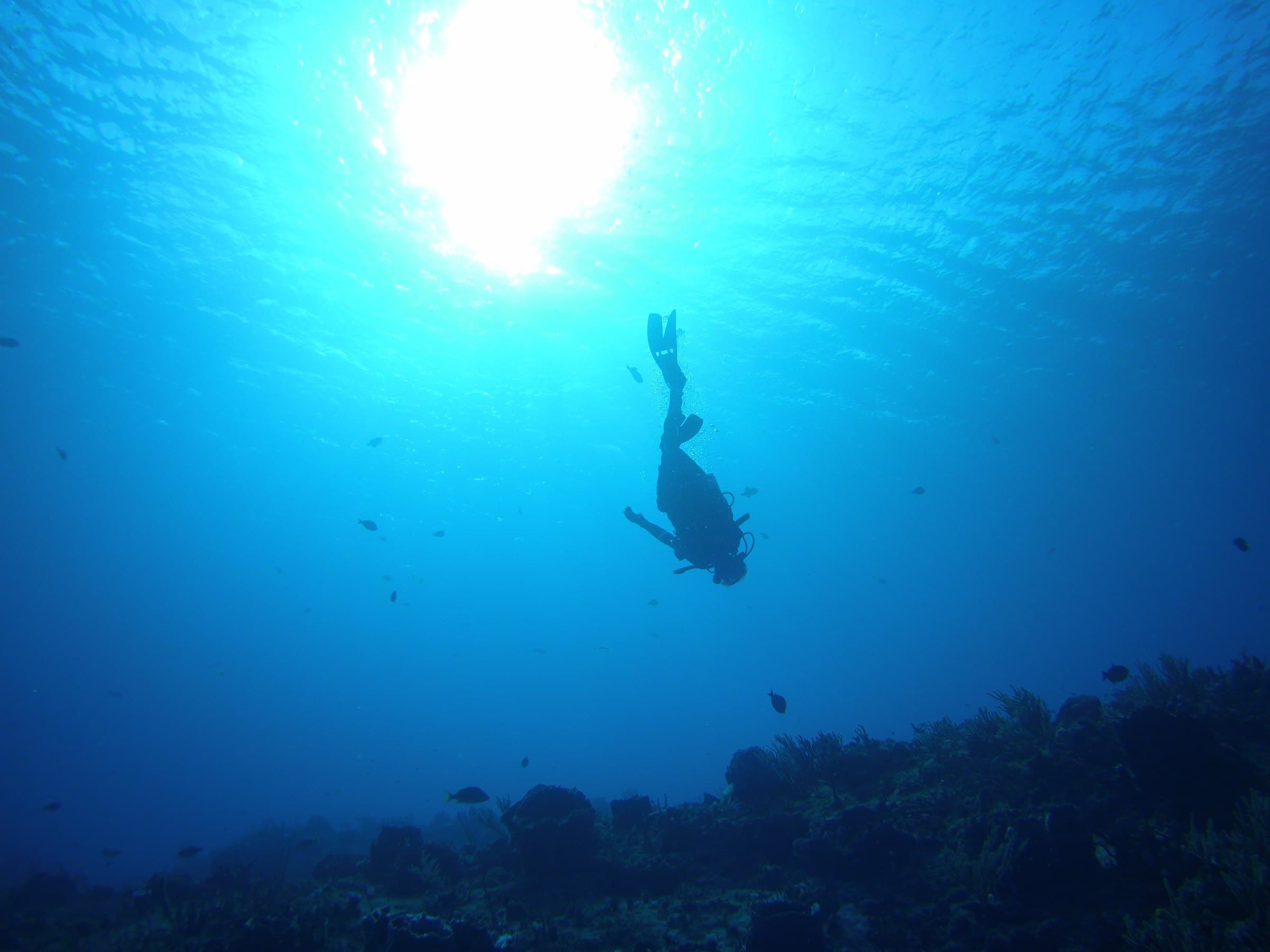 Cozumel